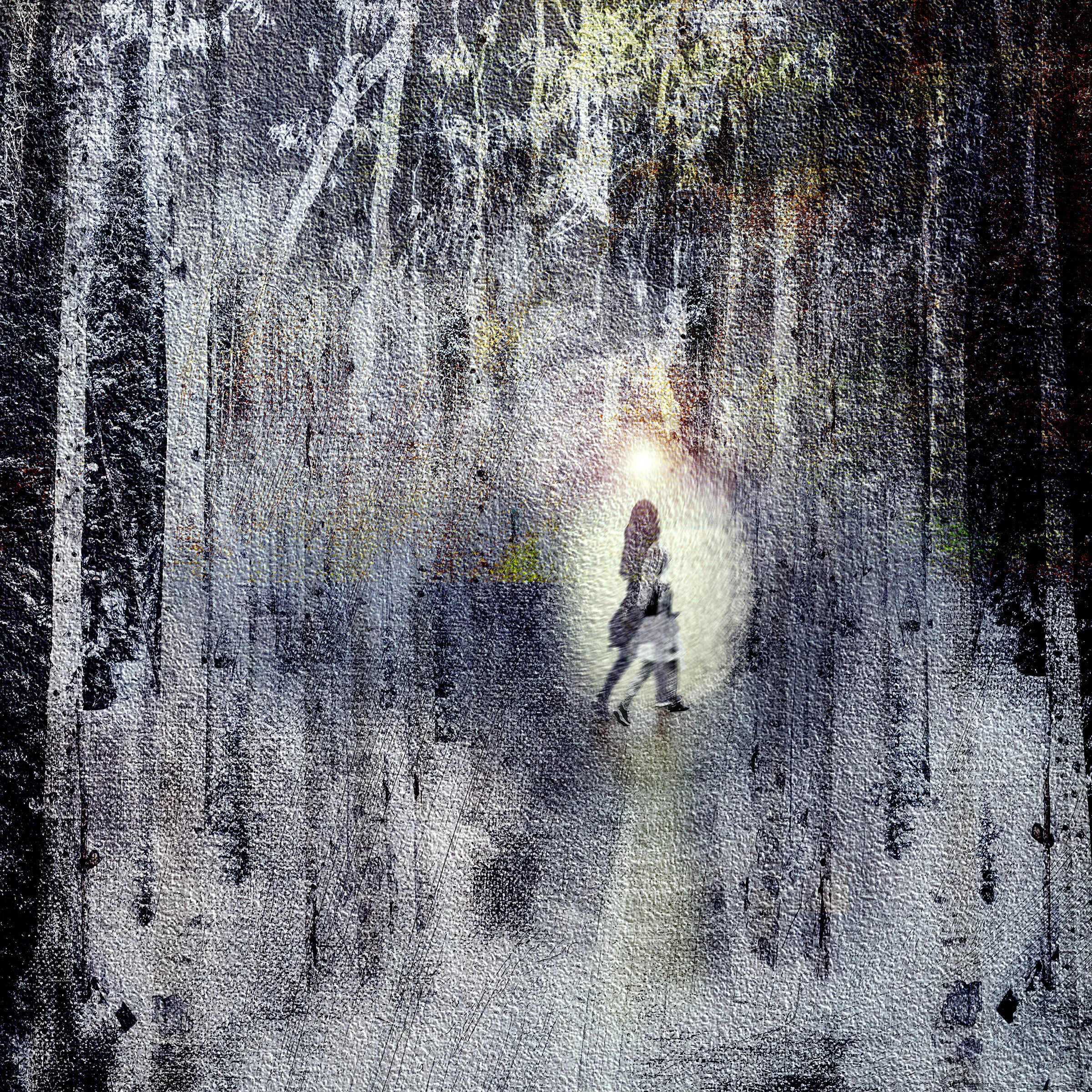Enlightenment In The Forest