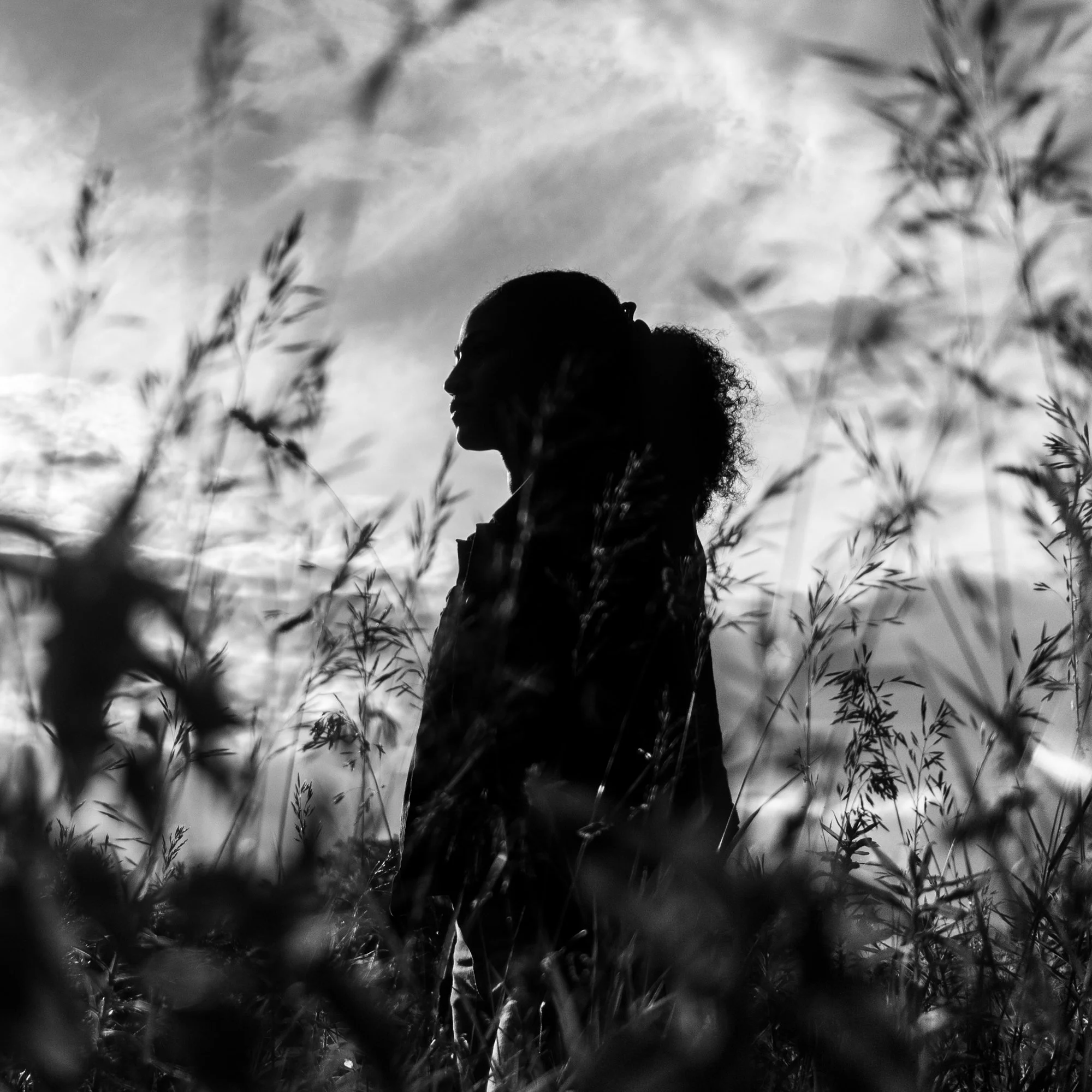 Silhouette of a person with curly hair looking to the side, surrounded by tall wild grass, against a cloudy sky.