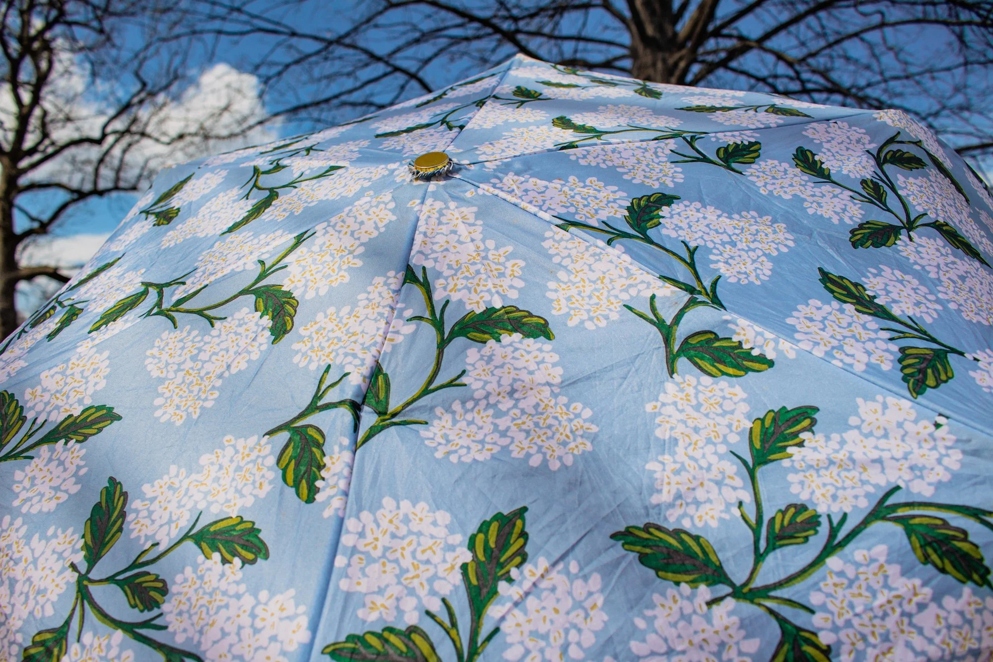 A close-up view of a light blue umbrella with a floral pattern of white flowers and green leaves, against a background of trees and a blue sky with some clouds.