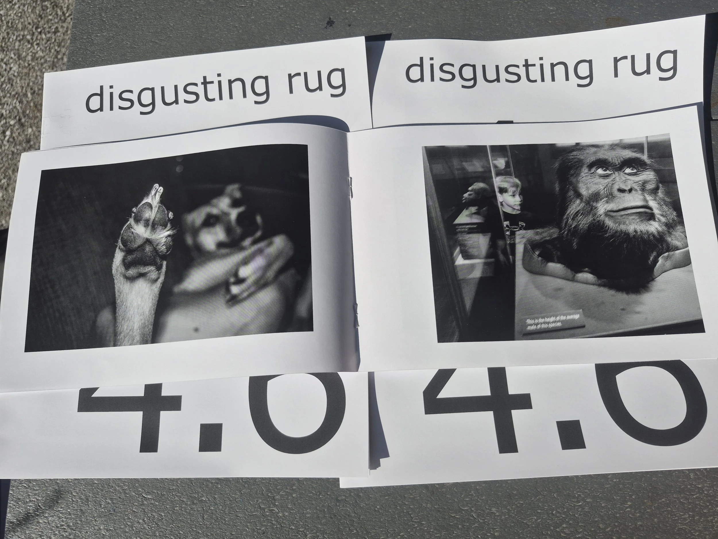 A printed page with the heading 'disgusting rug' and black-and-white photographs of animals, including a close-up of a hand holding a small primate and a large ape, possibly a gorilla or chimpanzee, with a caption that reads 'This is the height of th
