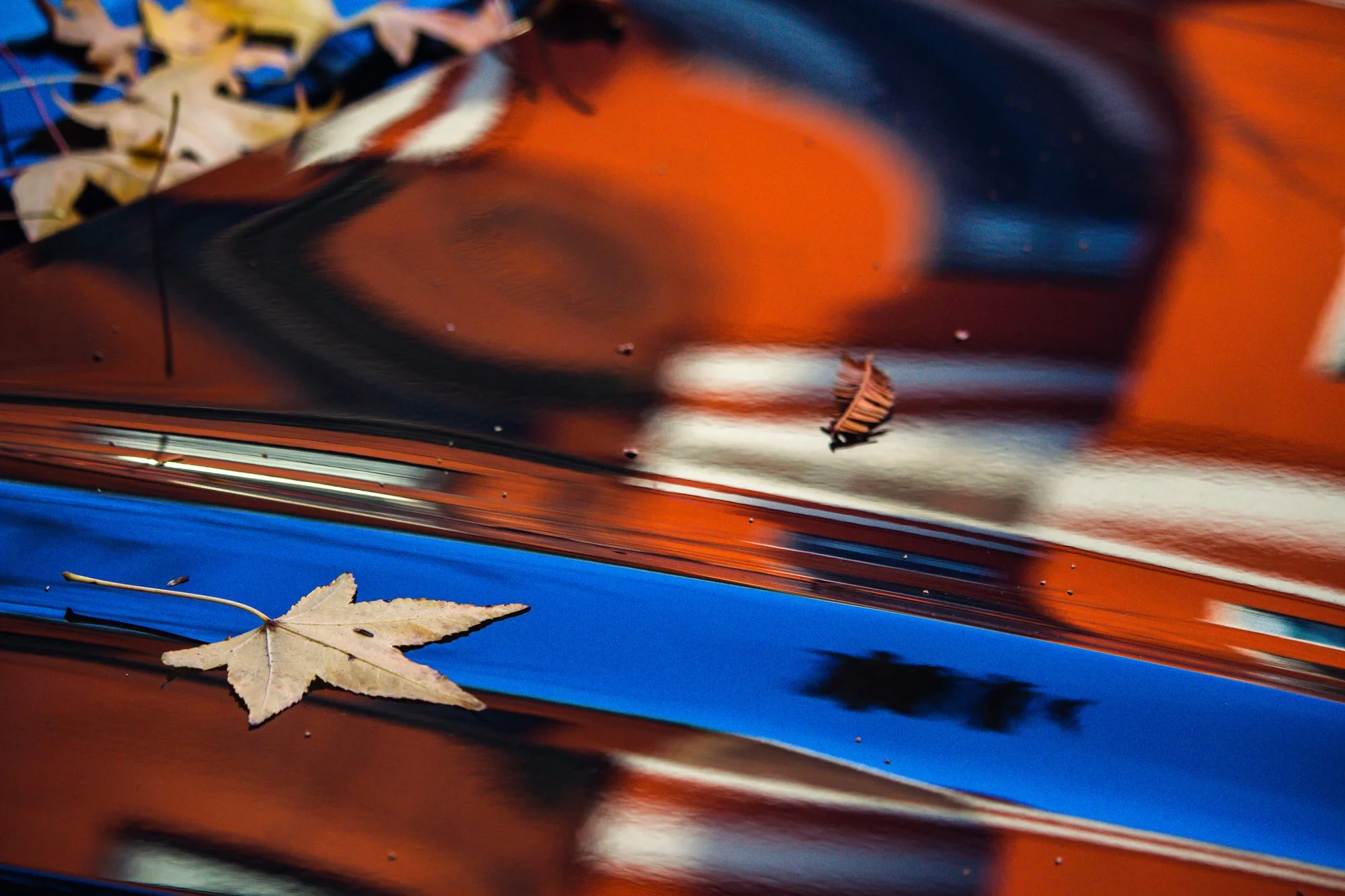 A colorful, abstract image with orange, black, white, and blue swirling patterns. Two fallen dried leaves are on the surface, one at the bottom left corner and one near the center.