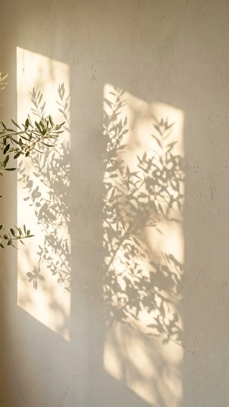 a296cfac4b928705ffc2fd11b65d6193.jpg