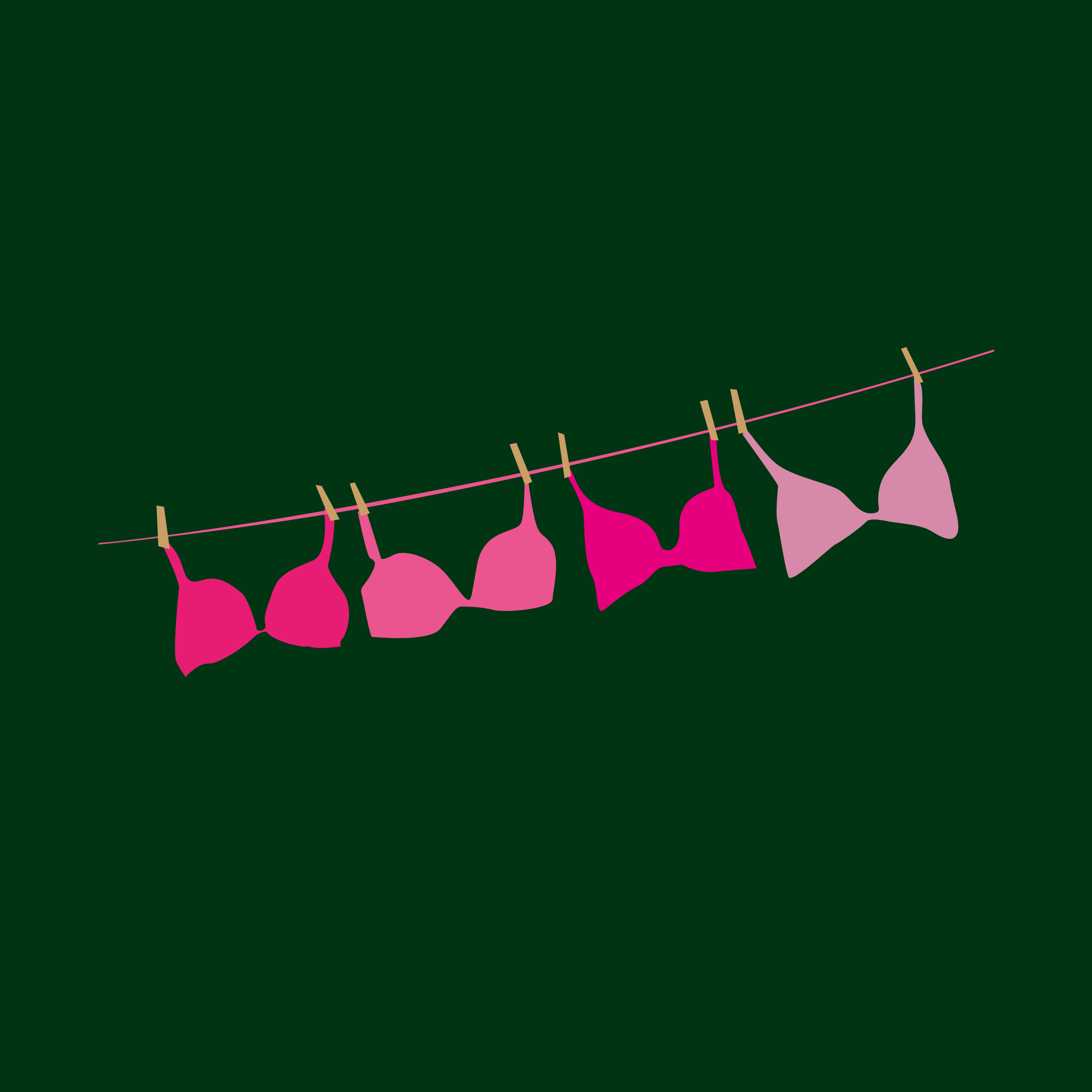 Illustration: pinkfarbene BHs an einer Wäscheleine