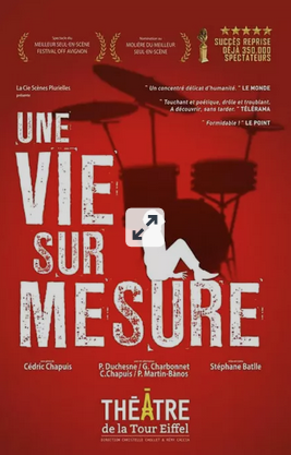 Affiche de spectacle intitulée "Une vie sur mesure" pour le Théâtre de la Tour Eiffel, avec une silhouette d'une personne assise sur une branche d'arbre en silhouette avec une tour Eiffel en arrière-plan, en rouge et noir.