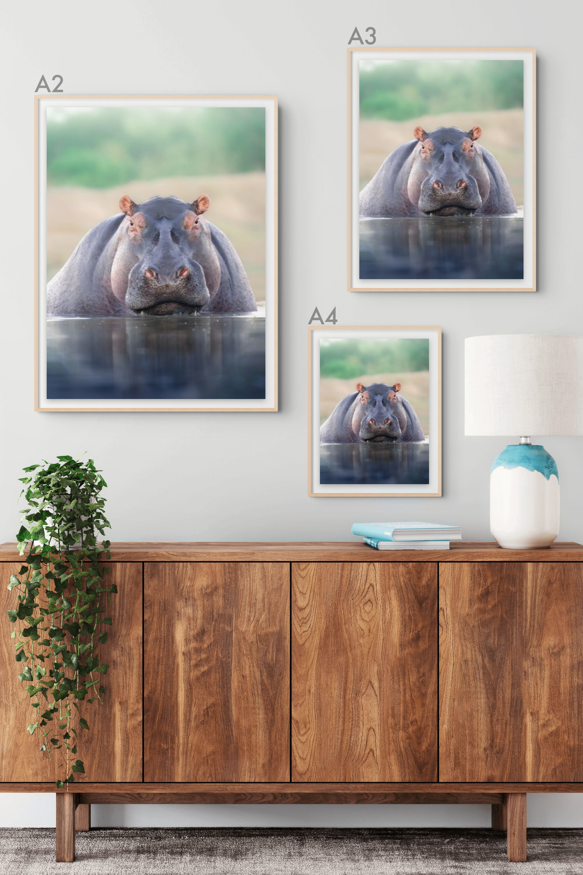 Hippo.png