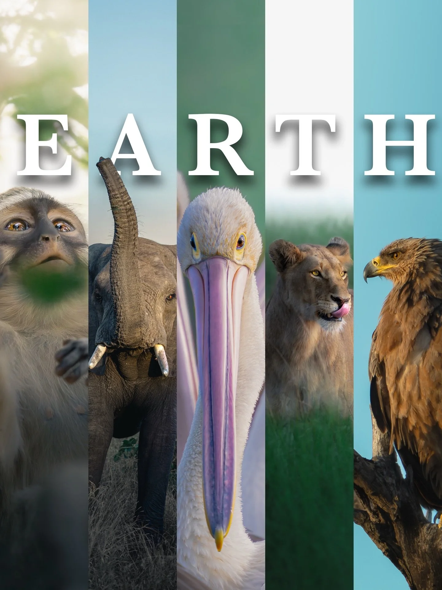 Collage of various animals, including a monkey, elephant, pelican, lioness, and eagle, with the word 'EARTH' displayed prominently across the center.