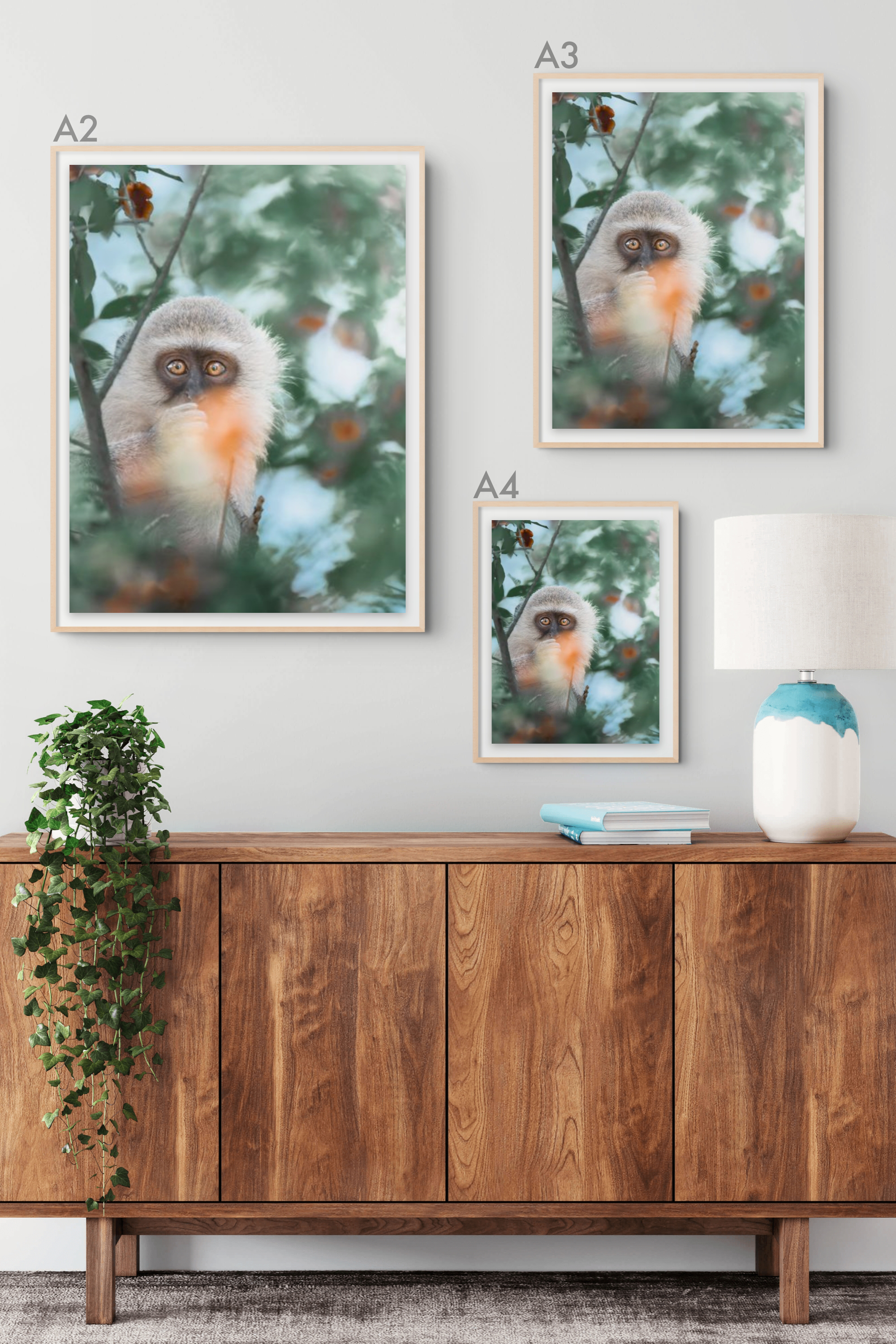 Monkey.png
