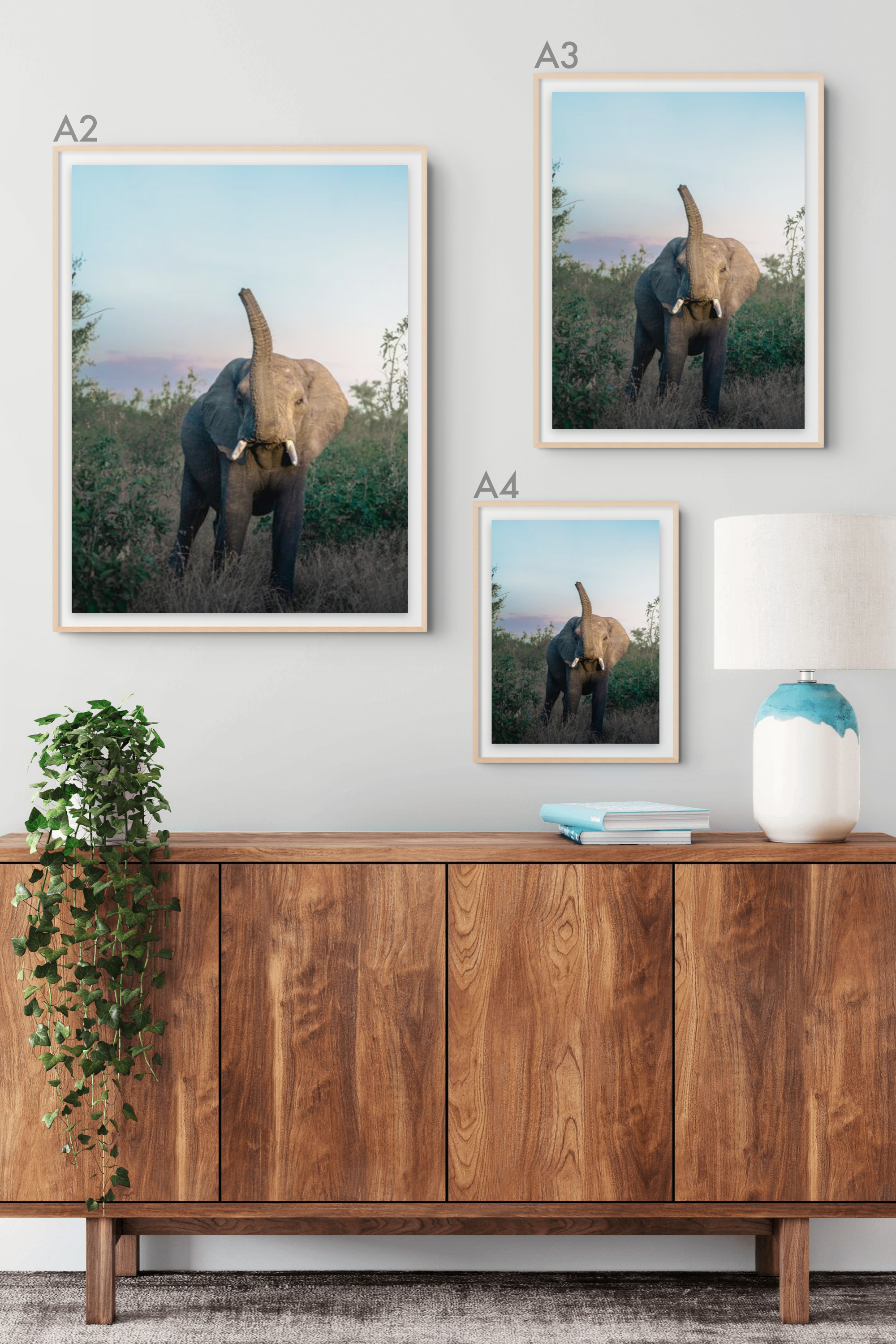 Bush Elephant.png