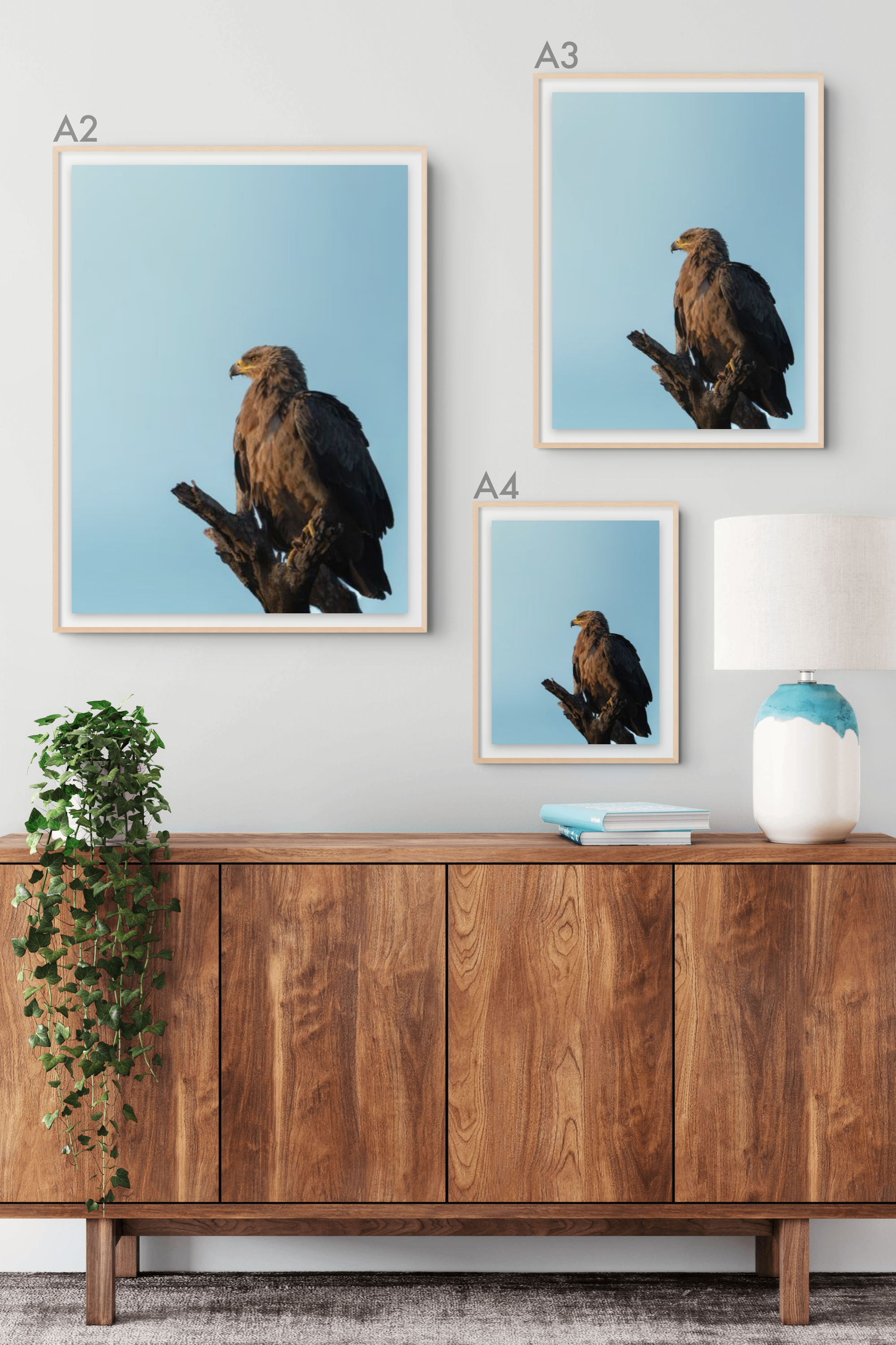 Bird of Prey.png