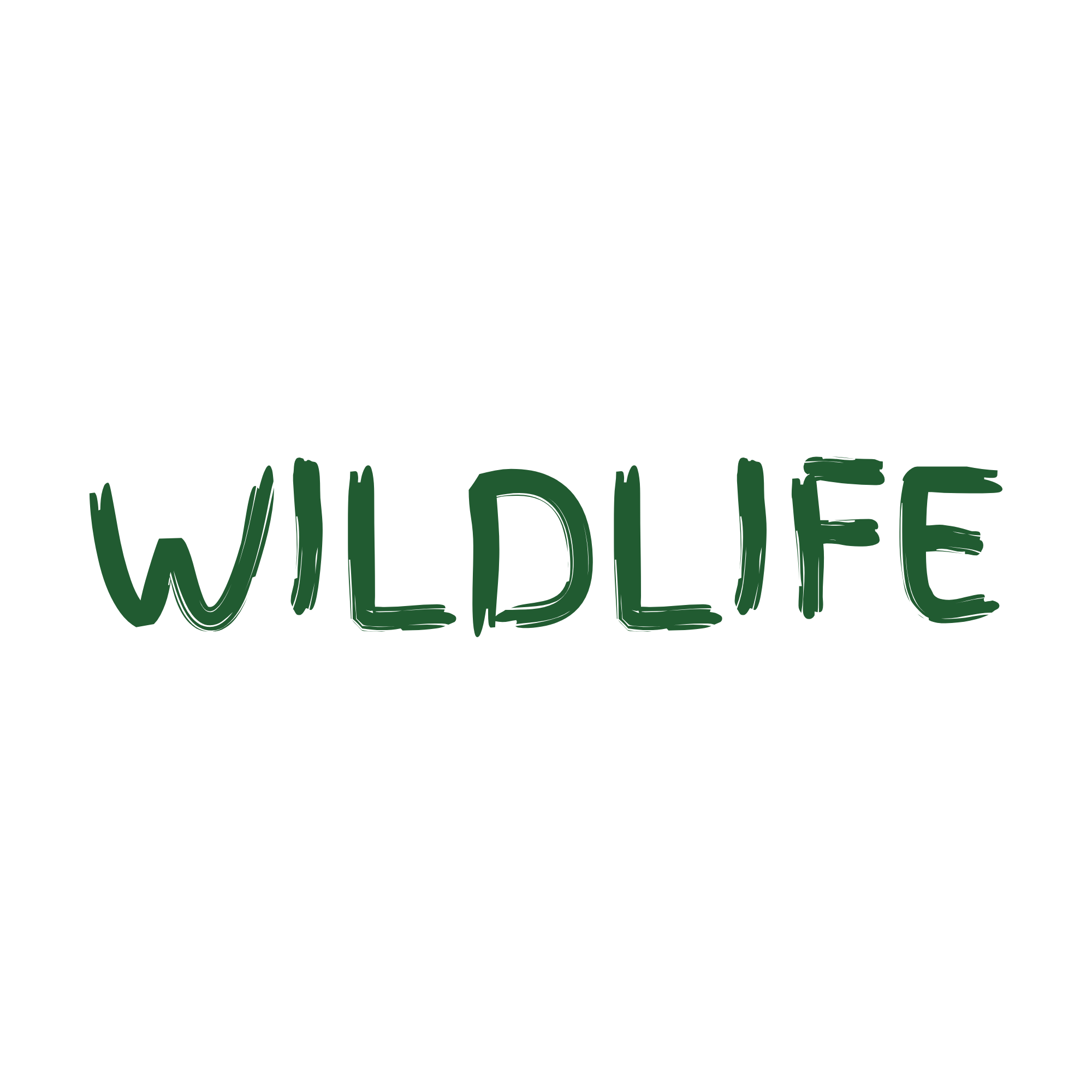 The words "WILD LIFE" written in large, green, brushstroke-style letters underneath a black silhouette of a wolf howling at the moon against a night sky with stars.
