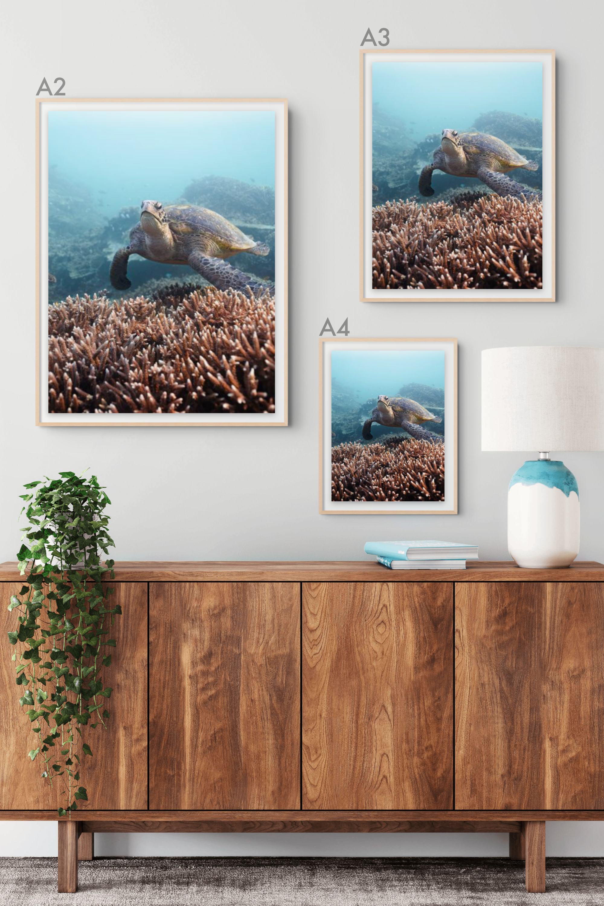 On the Reef.png