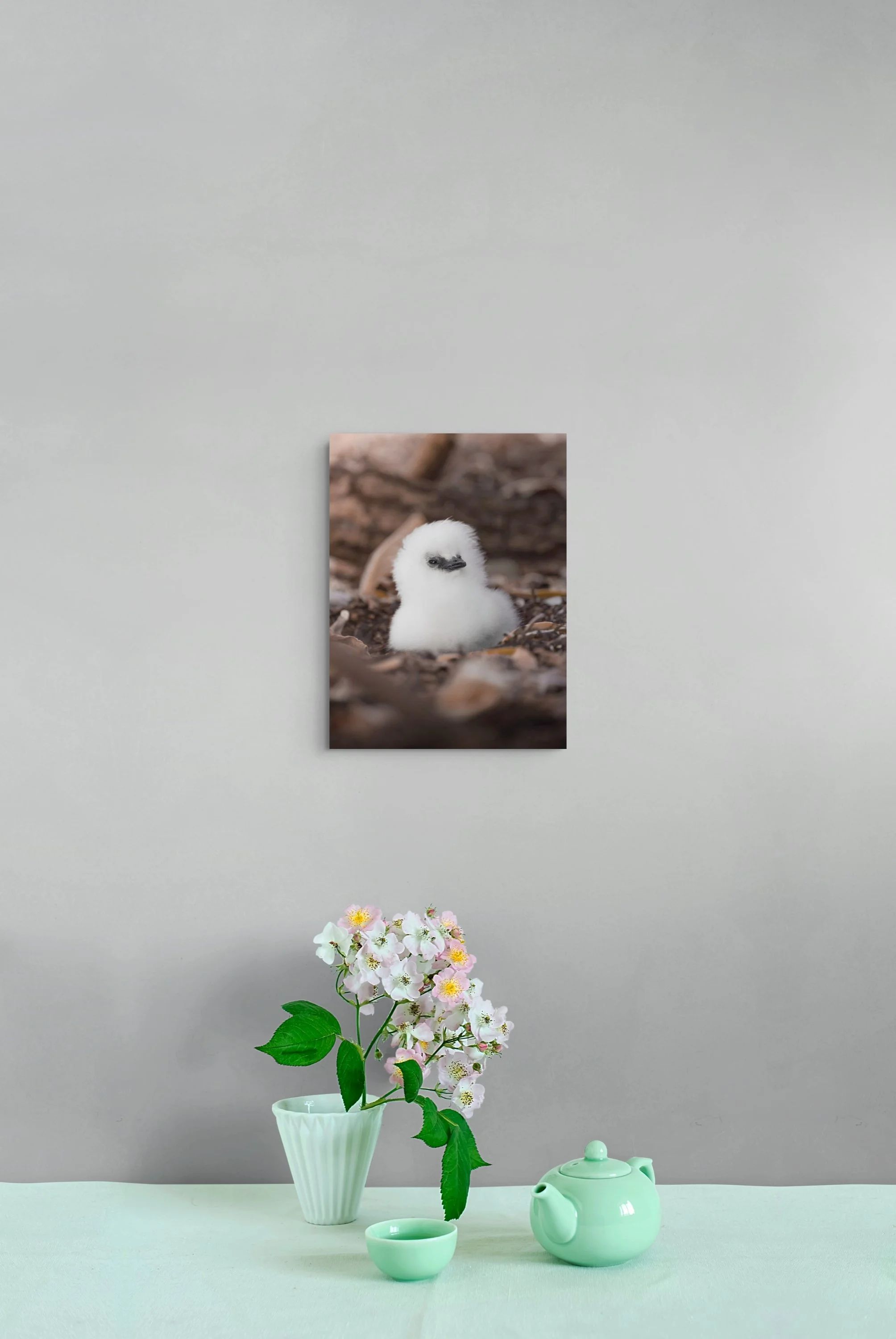 A4.jpg