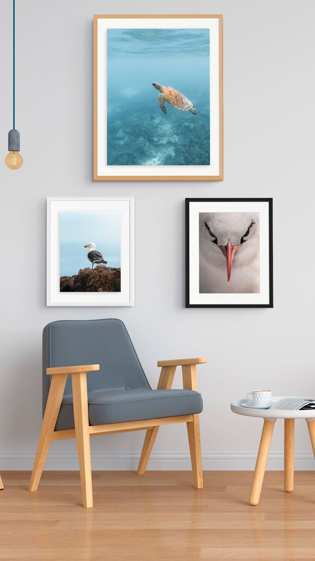 A framed photograph of a sea turtle swimming underwater on a wall with two smaller photos of a seagull and a stork, a gray chair with wooden armrests, and a small white side table with a cup, on a wooden floor in a modern room.