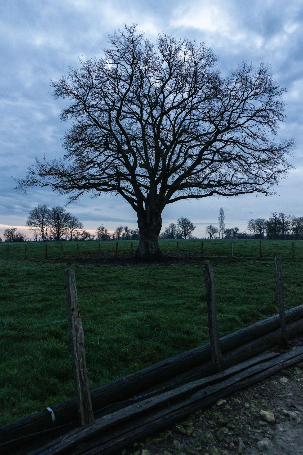 Bretoncelles, France