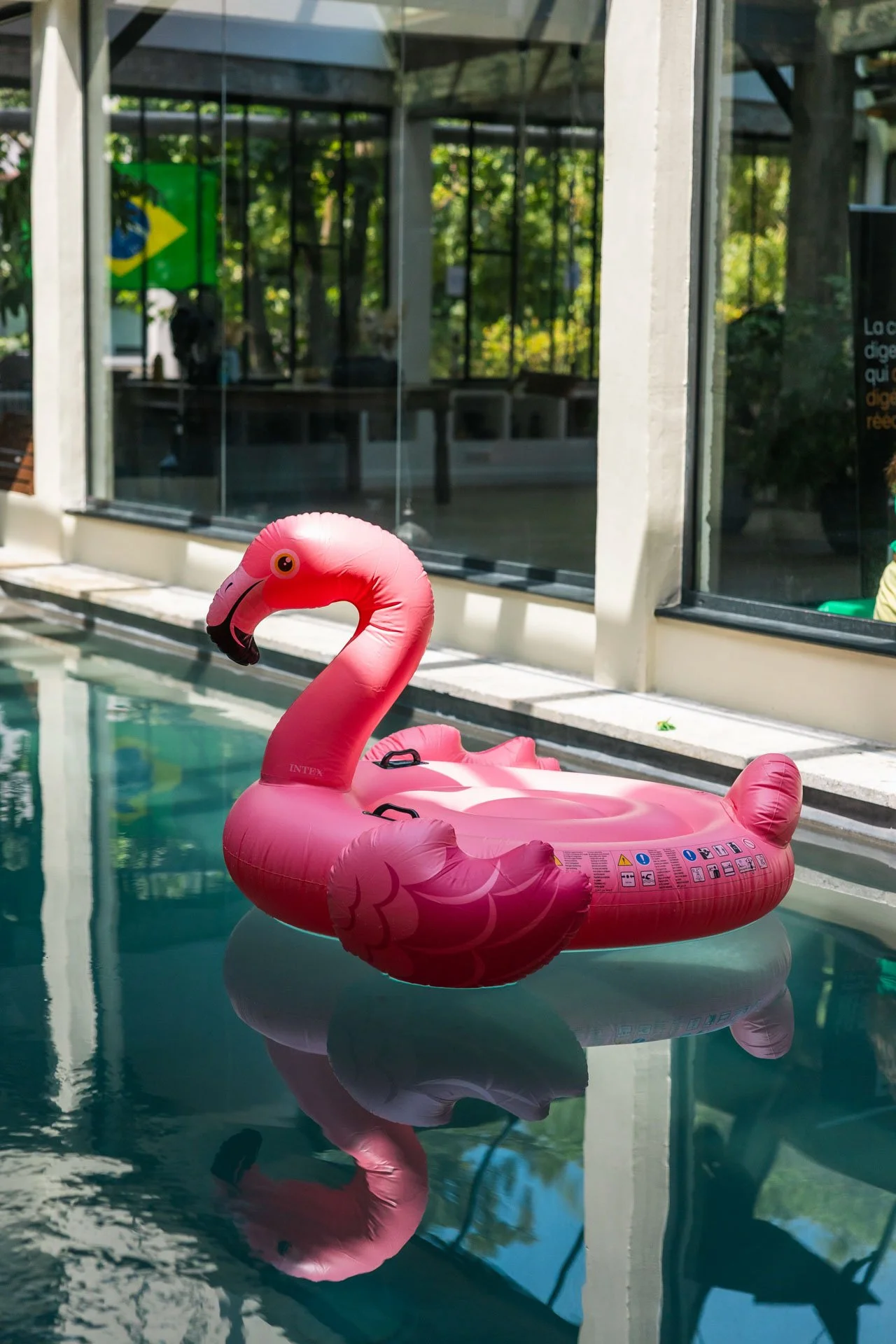 Un matelas gonflable en forme de flamant rose flottant dans une piscine, avec réflexion dans l'eau, à l'extérieur.