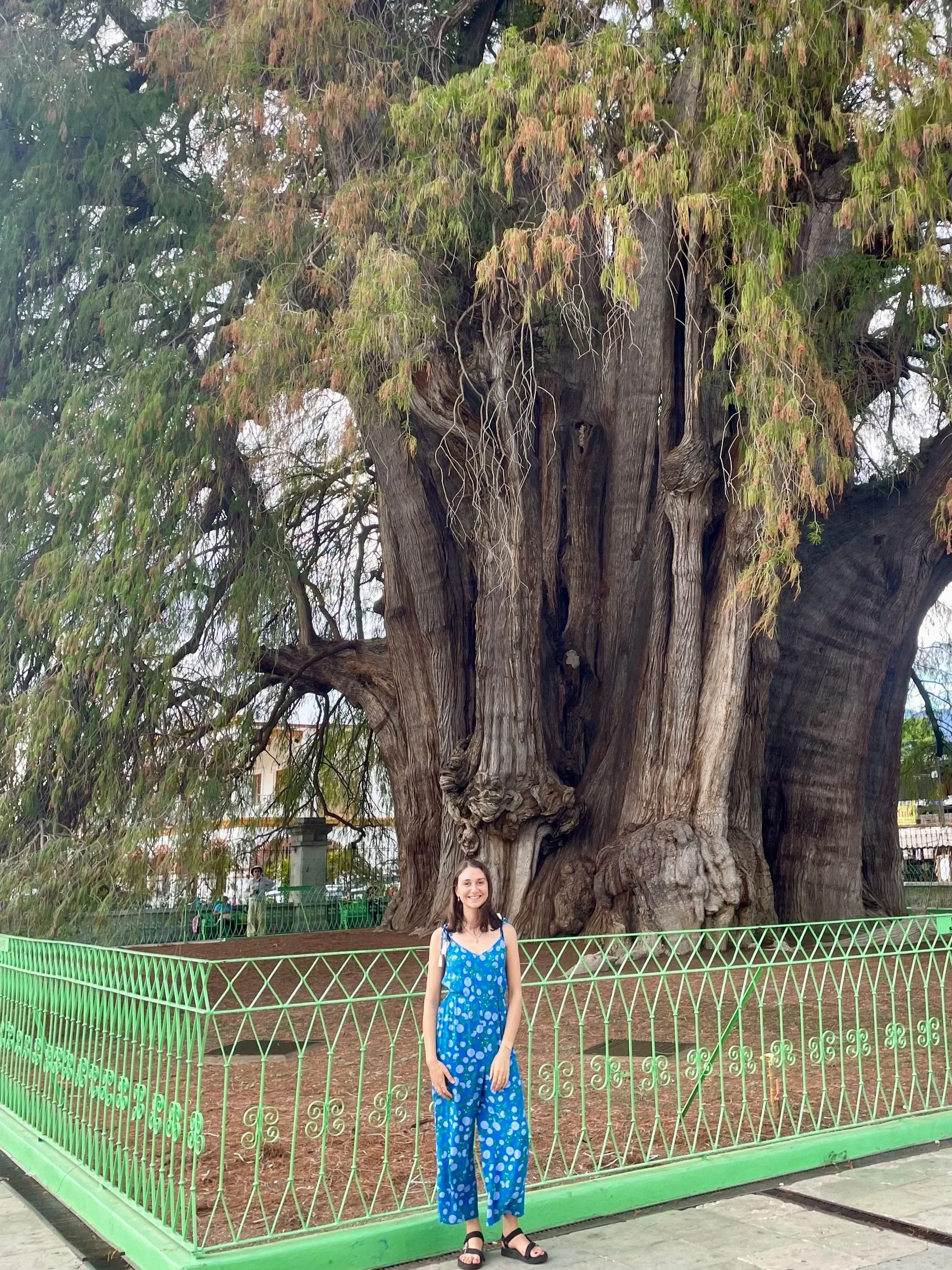 maya-harvey-standing-in-front-of-ancient-tree
