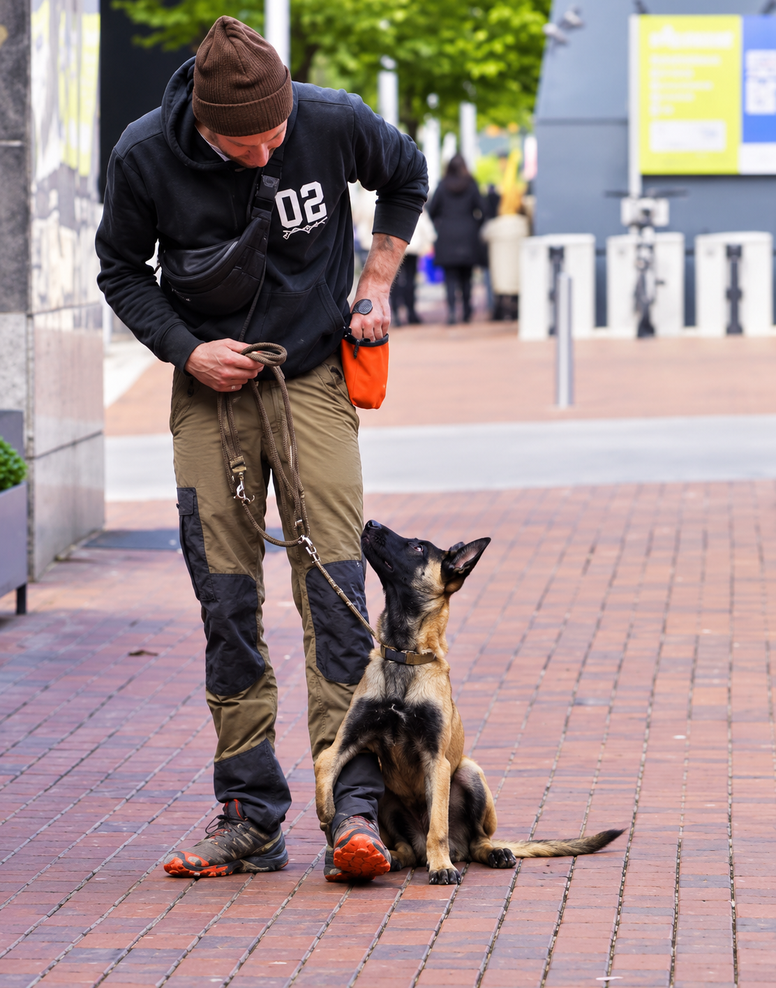 Basic Training (On leash)