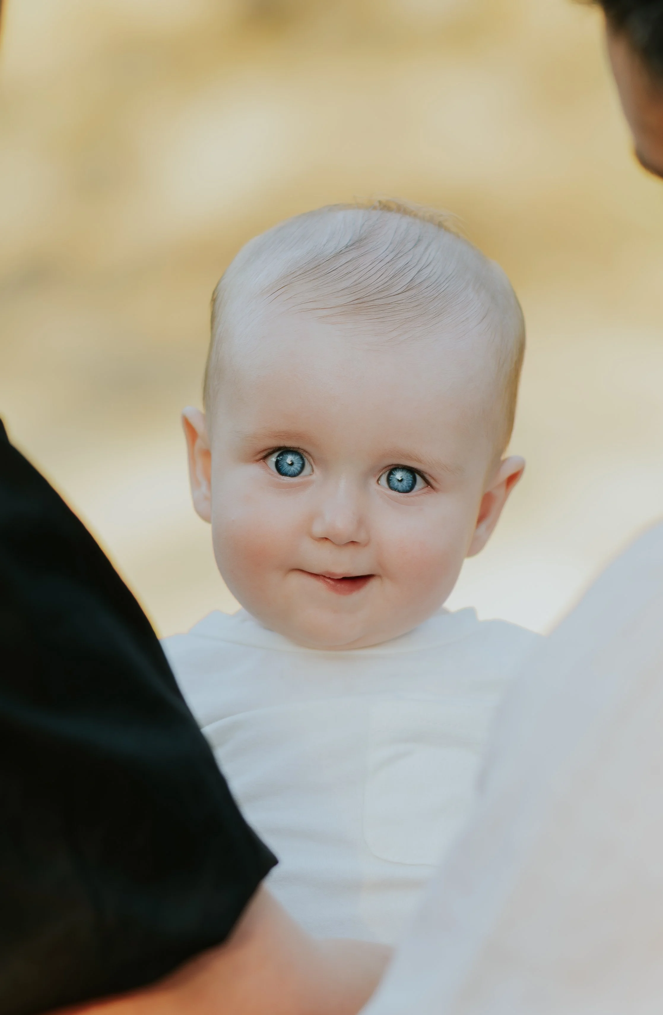 HeveyFamily-4.jpg