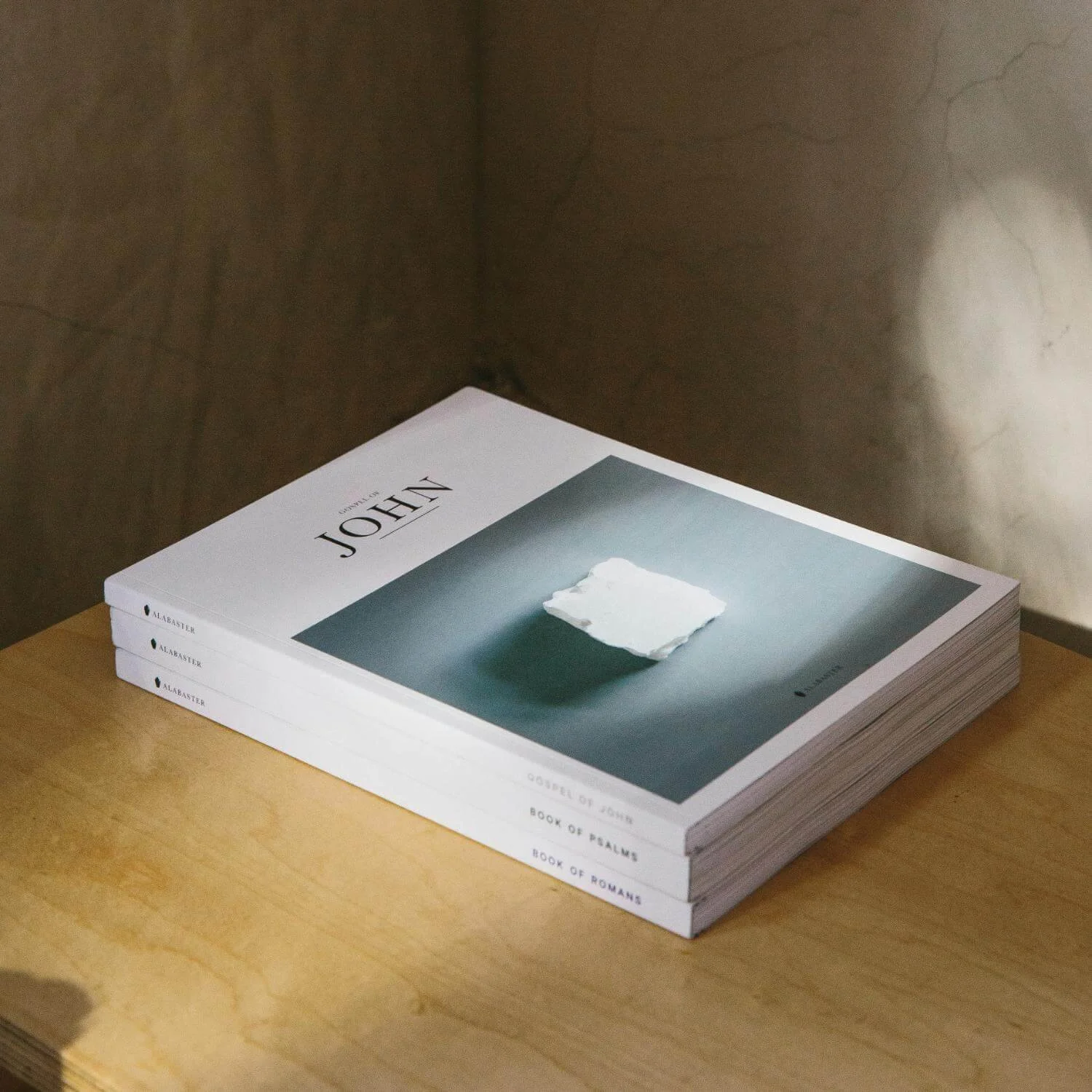 Buch Tarot Kartenschamanin