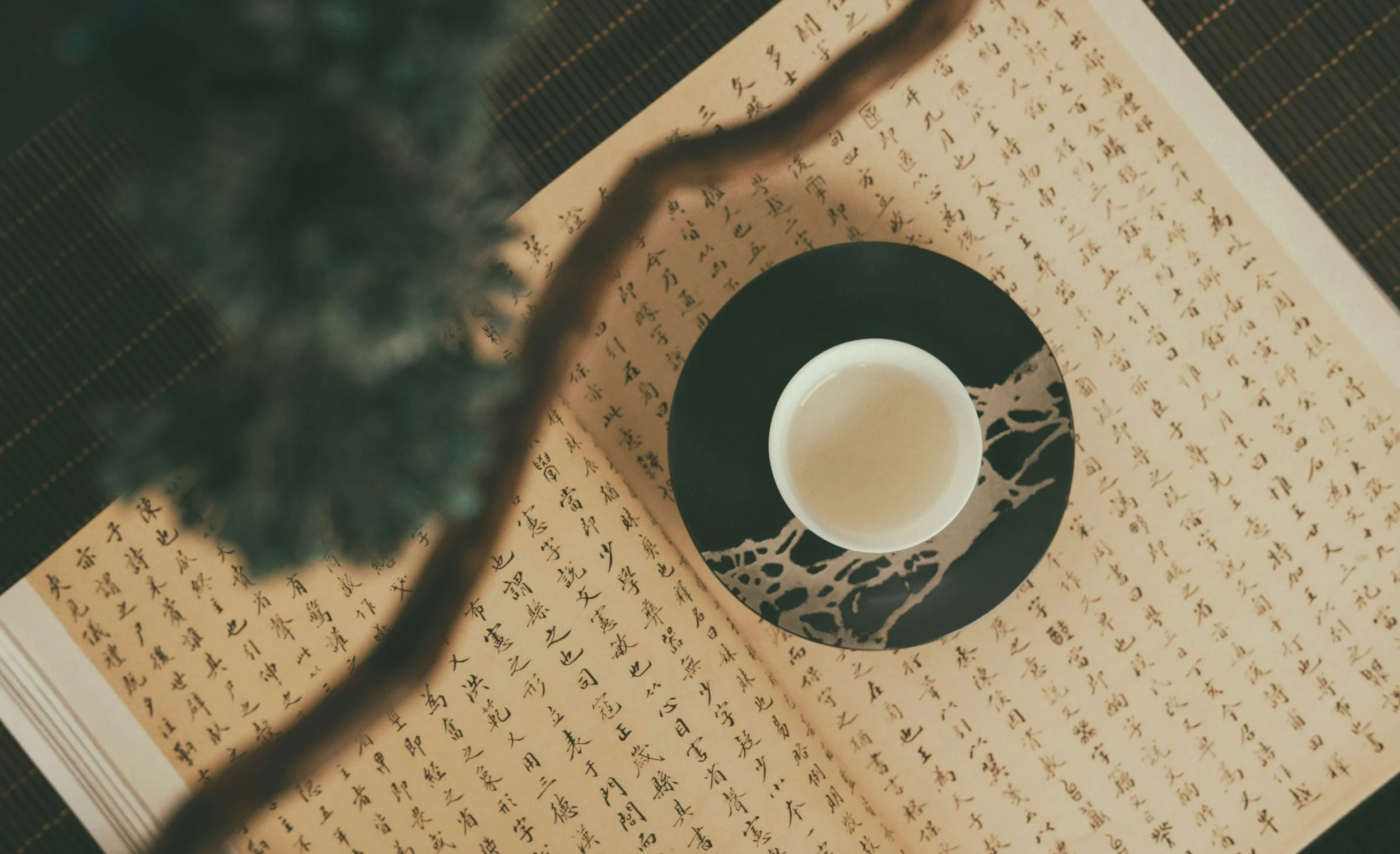 BaZi Suanming Tee Tasse Tarot Nicole Kartenschamanin