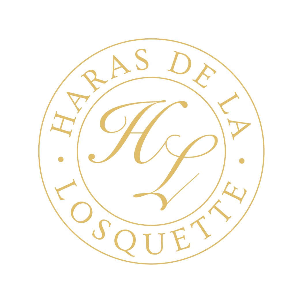 HARAS DE LA LOSQUETTE