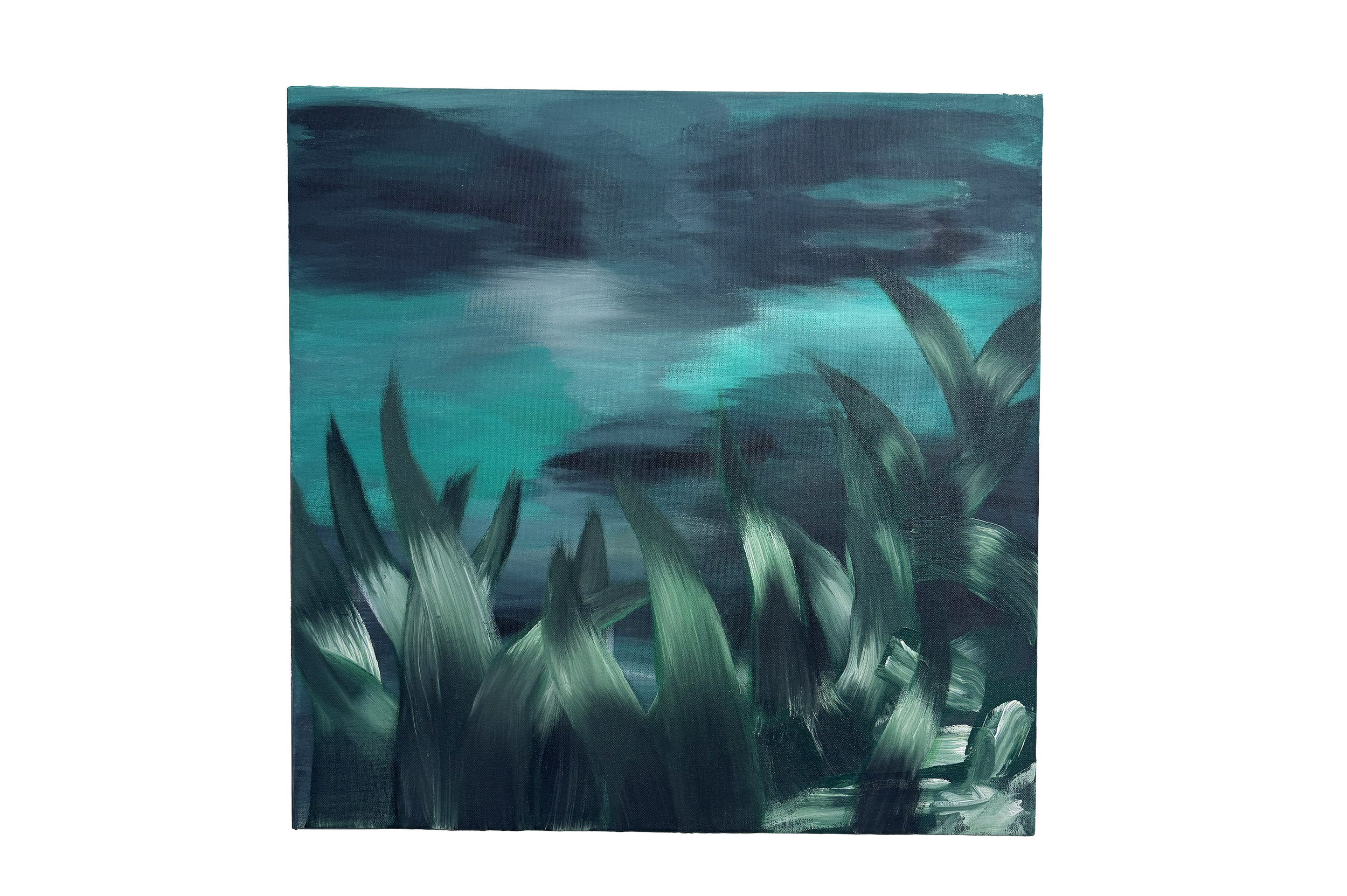 FO2.png