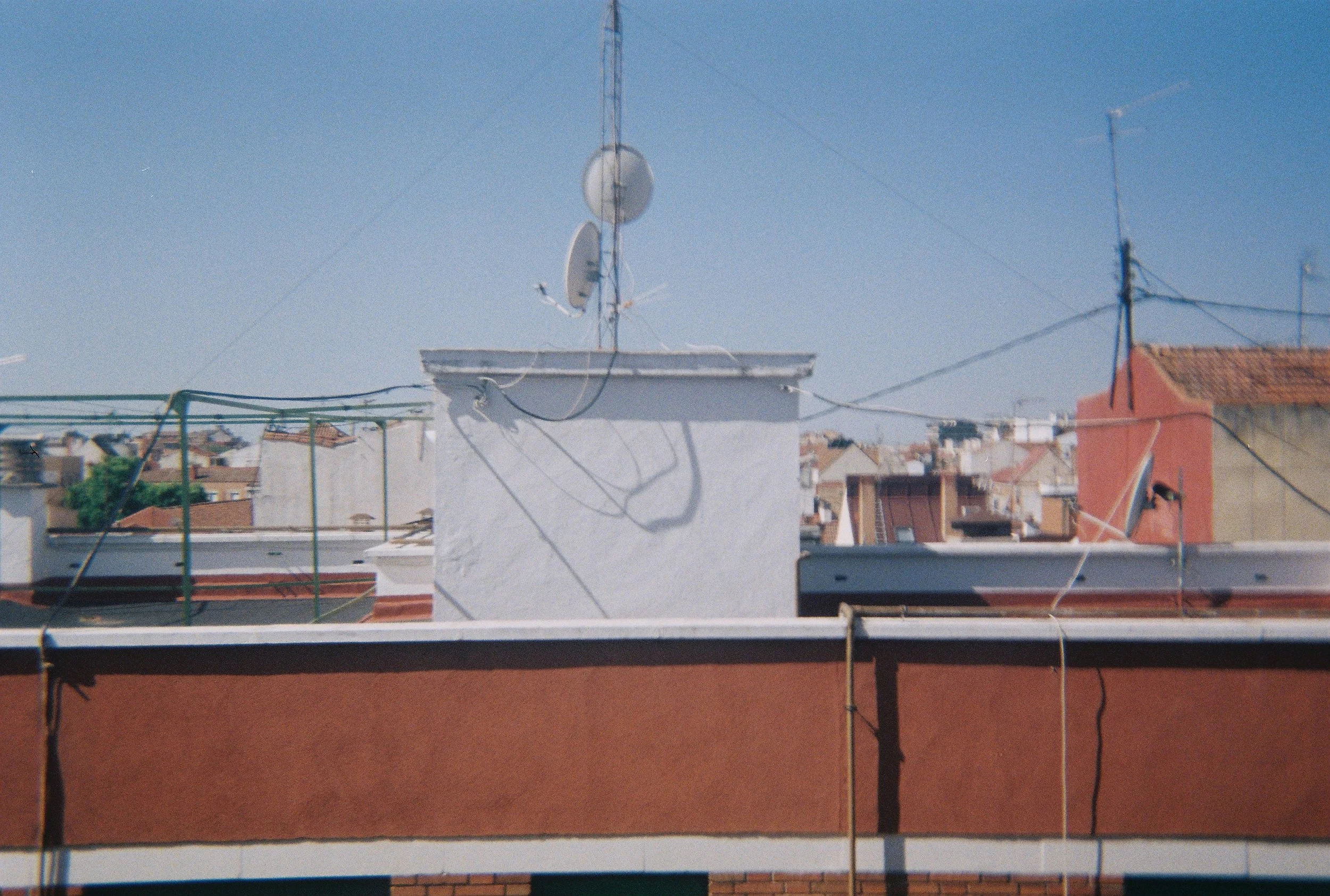 317433.JPG