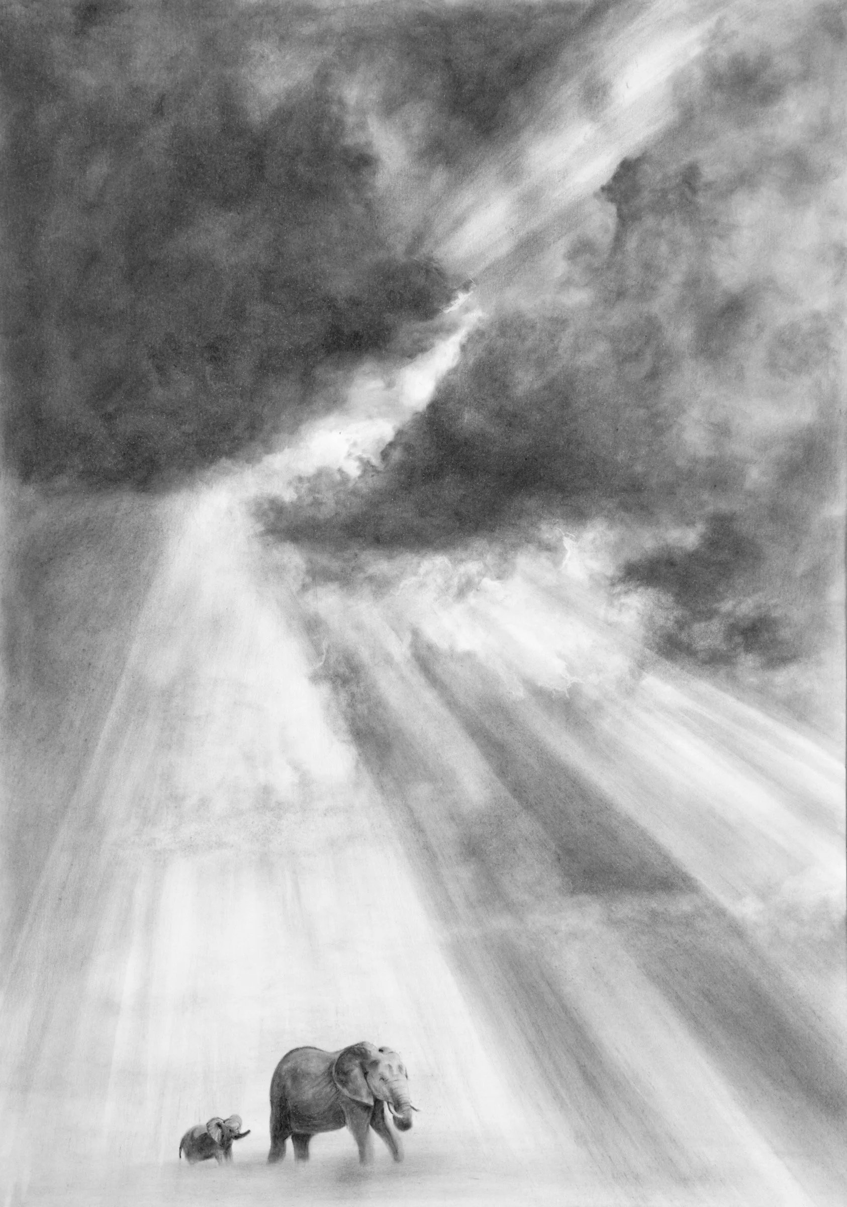 “The Journey” — charcoal drawing of elephants walking beneath rays of sunlight by Fiona Ison.