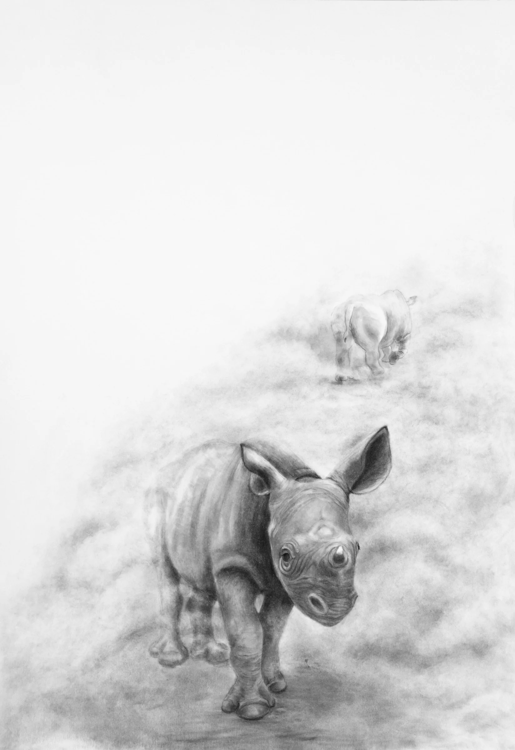 Charcoal drawing of a young rhinoceros walking through a softly detailed African landscape covered by mist with another rhino walking into the distance by Fiona Ison.