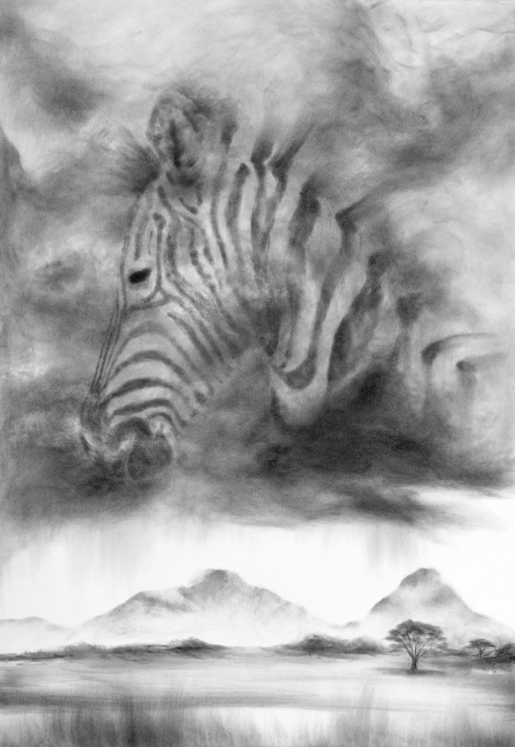 “Dreams of Africa” — atmospheric charcoal drawing of a zebra above a distant African landscape by Fiona Ison.