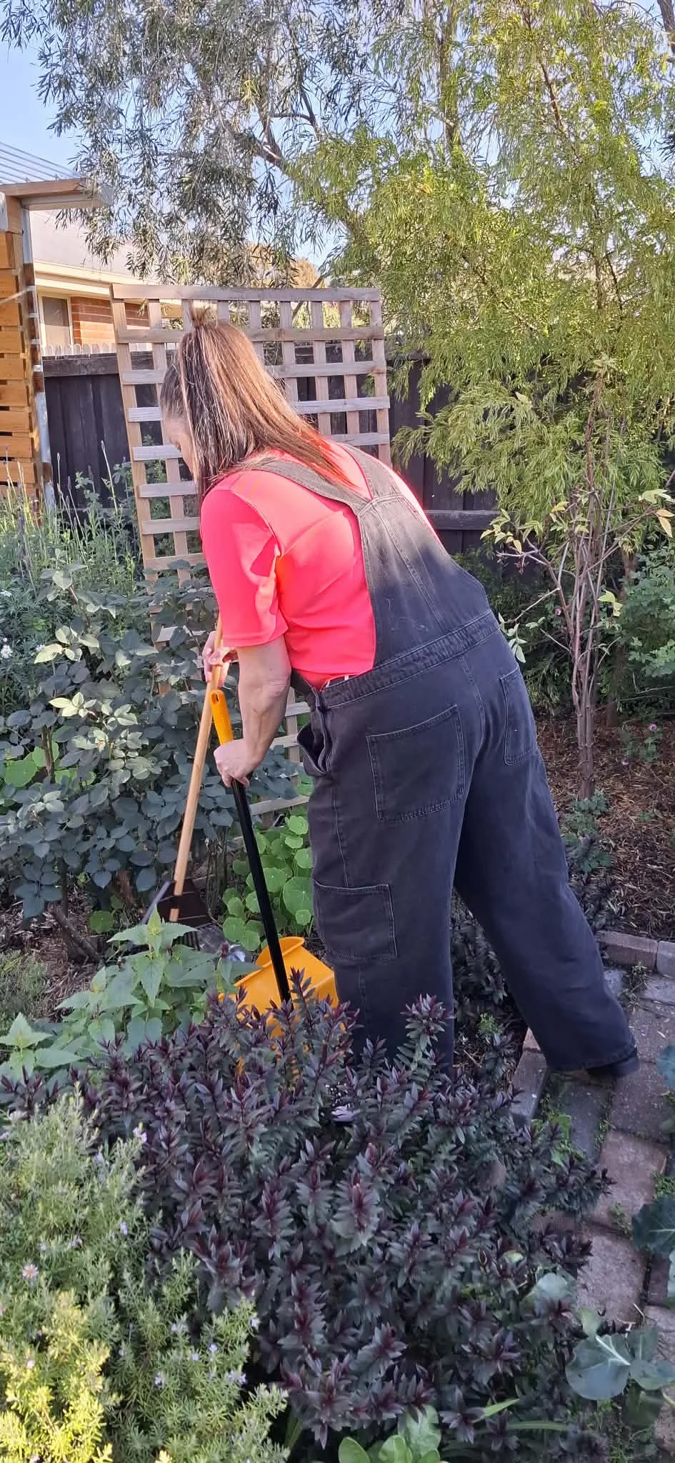 A woman in a pink shirt and black overalls is gardening in a backyard, using a small rake or cultivator.