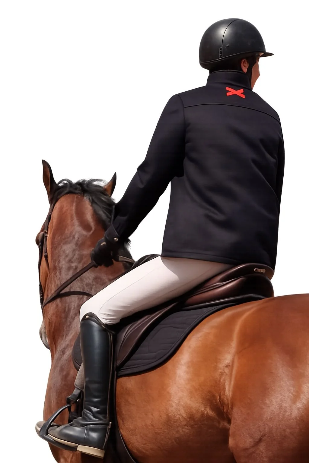 A man riding a brown horse, dressed in equestrian gear, including a black helmet, black jacket, white riding pants, and black riding boots.