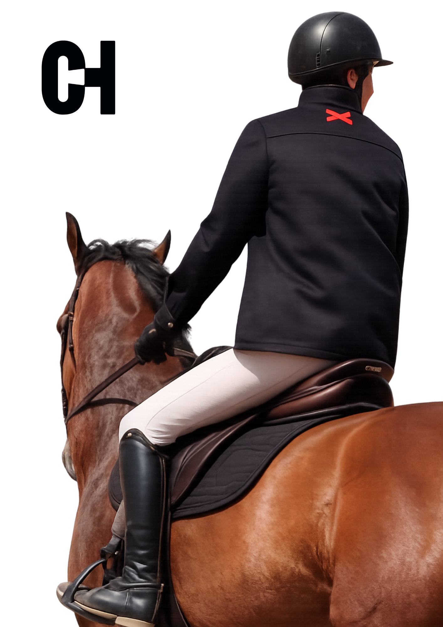 A person riding a brown horse, wearing a black riding helmet, black jacket with red accent, white riding pants, and black riding boots. The horse has a shiny coat and a bridle.