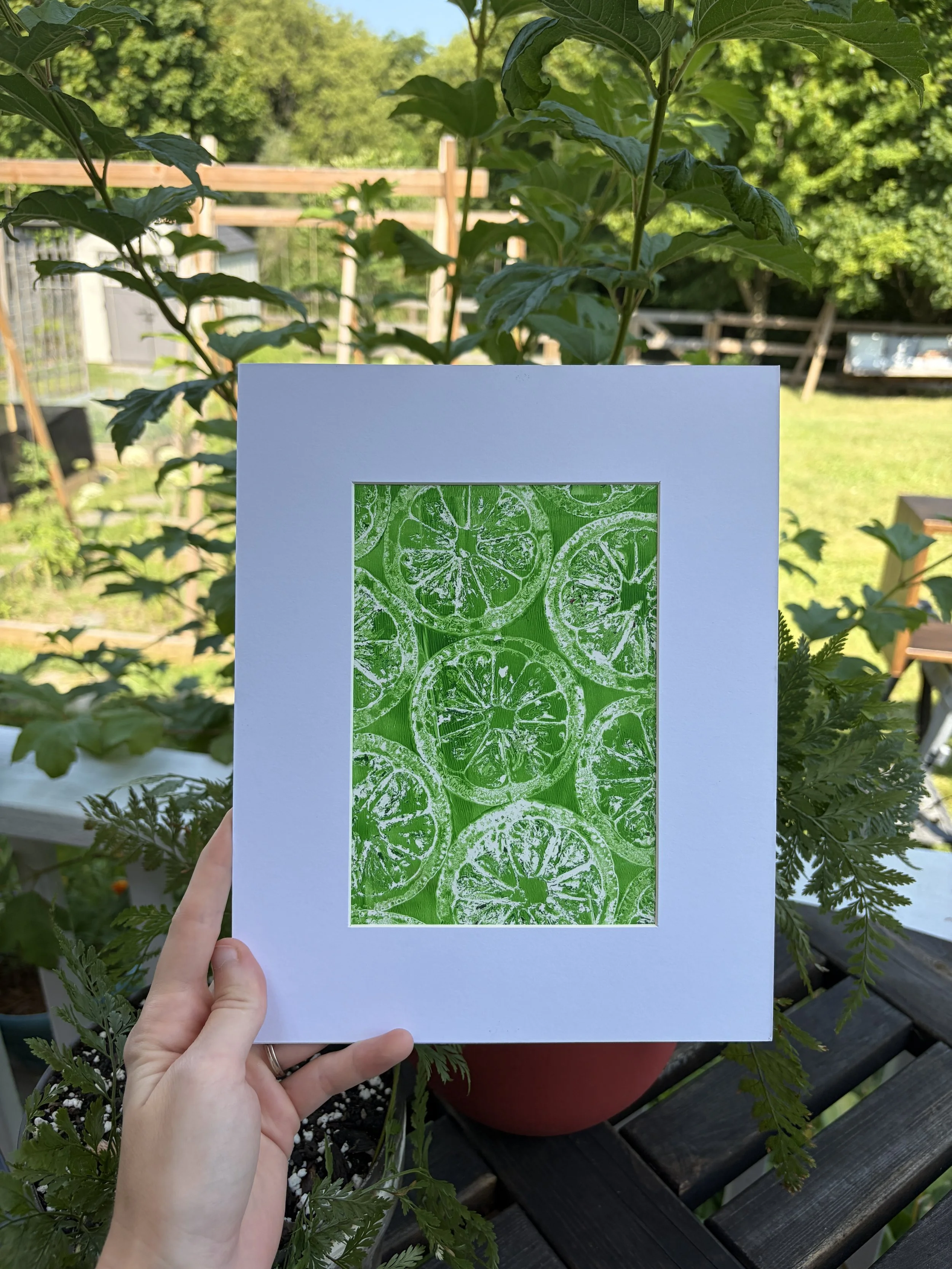 Lemon Slice Framed Print