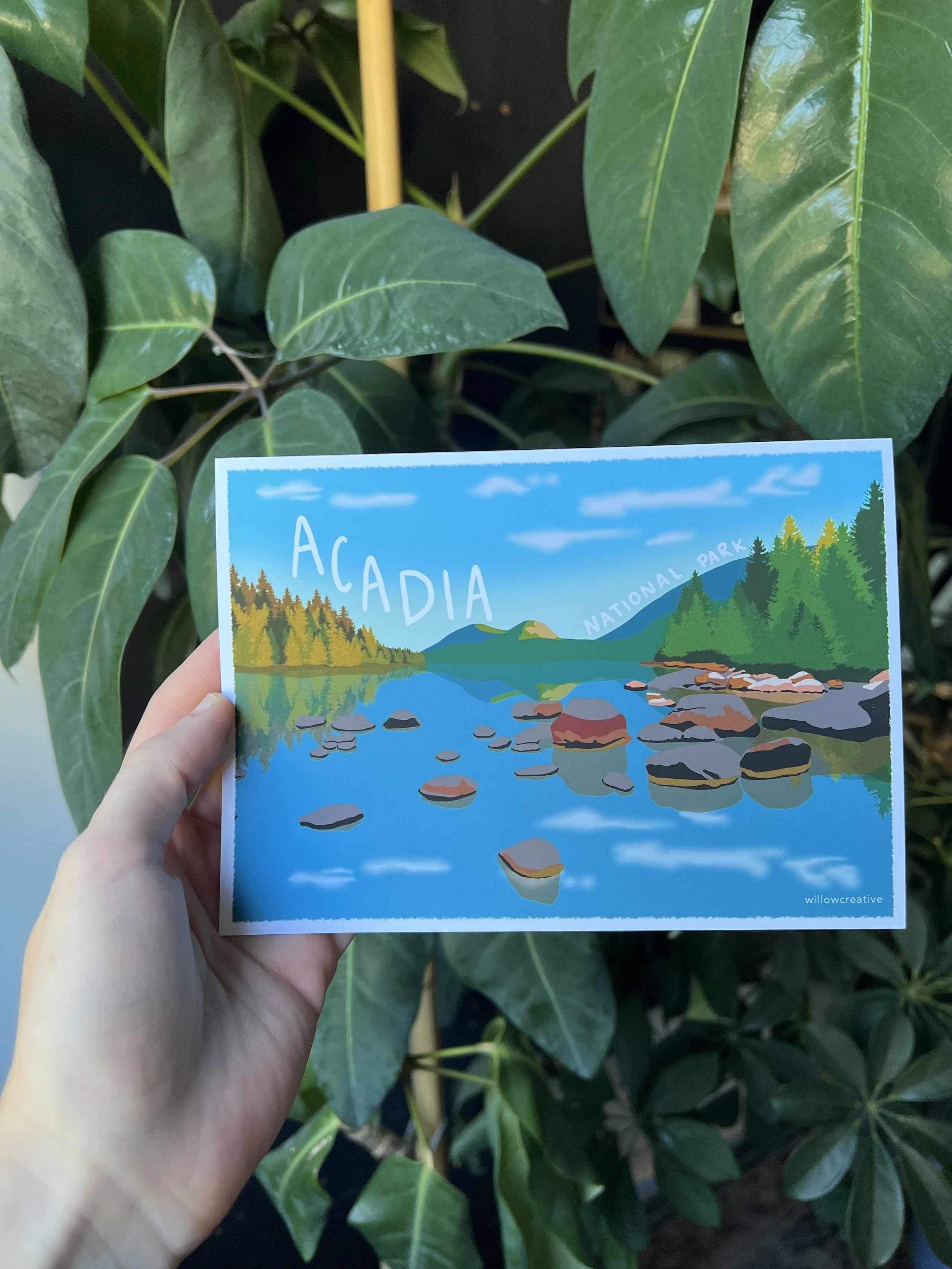 Acadia National Park 5x7 Print