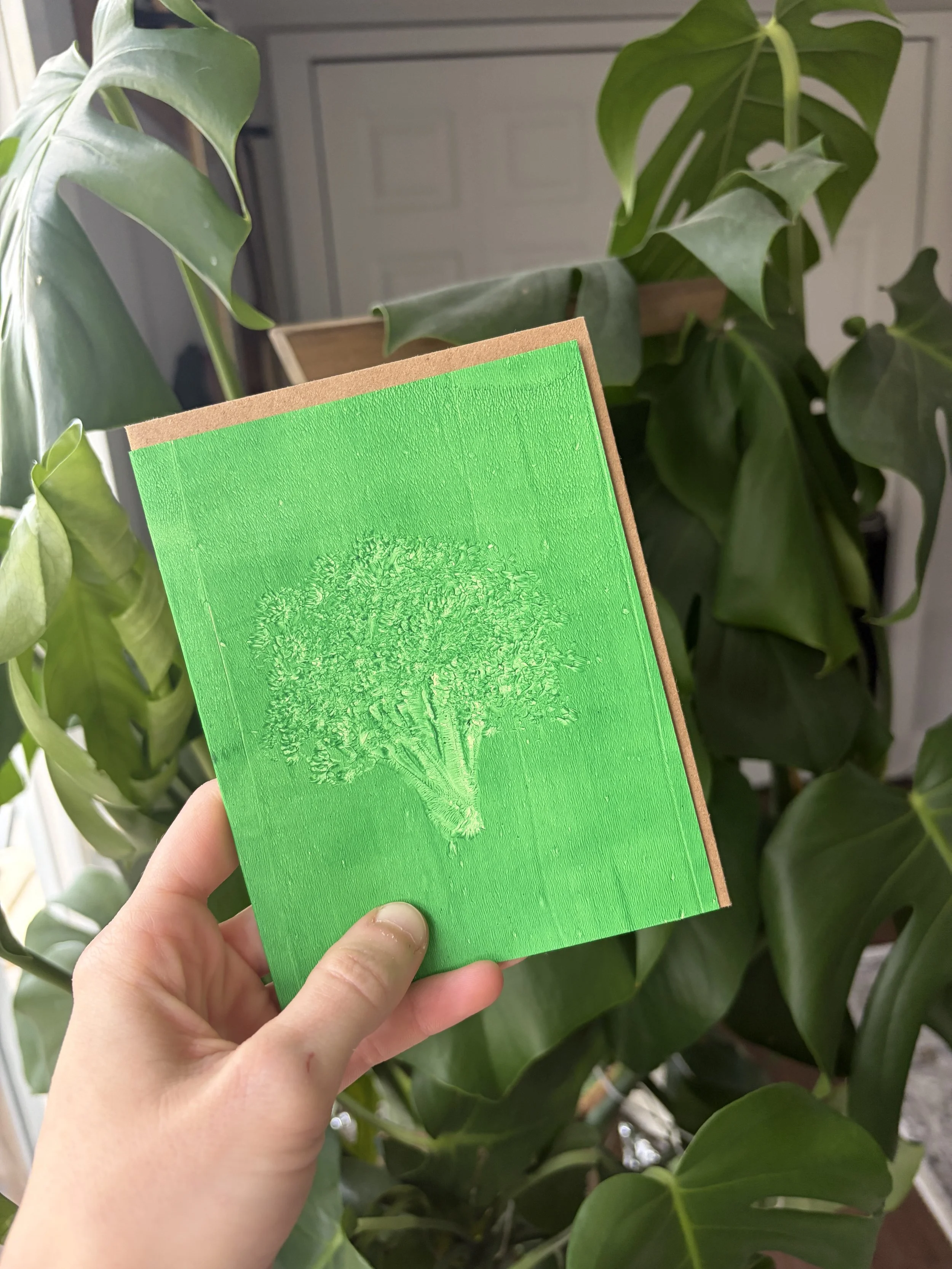 IMG_0021.JPG