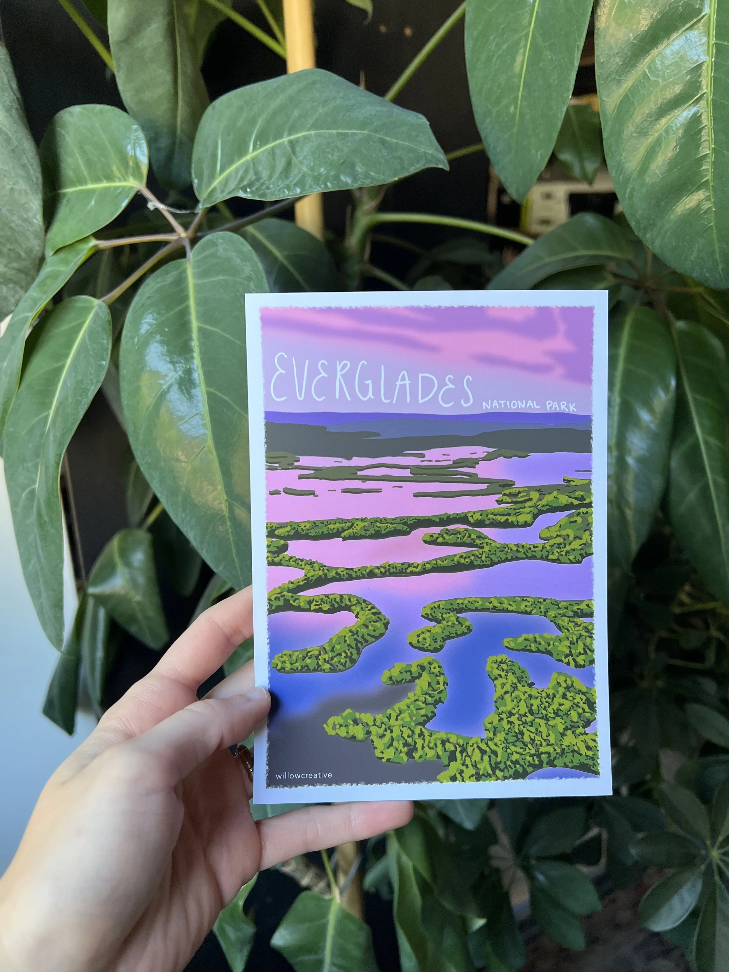 Everglades National Park 5x7 Print