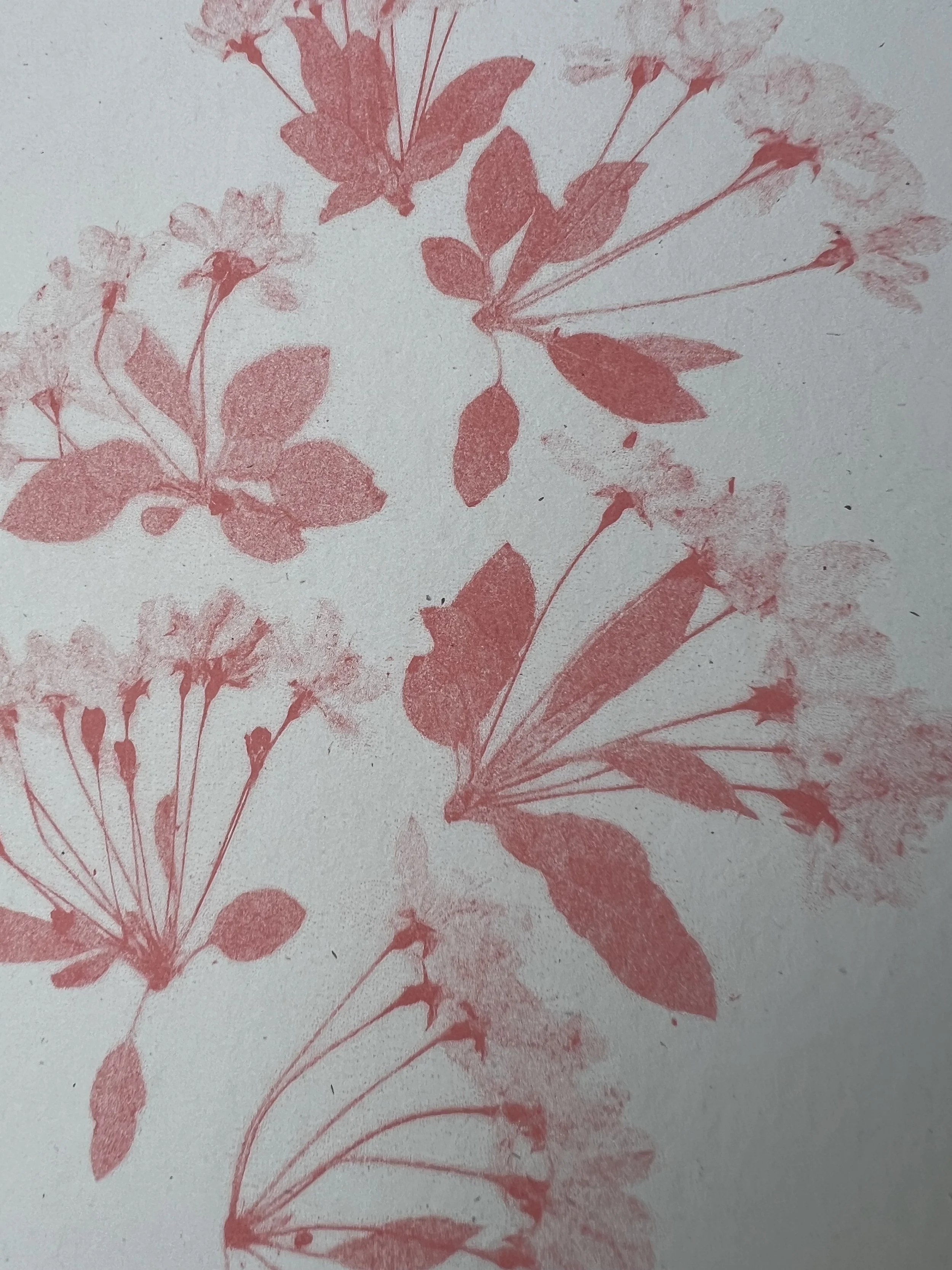 IMG_5901.jpg