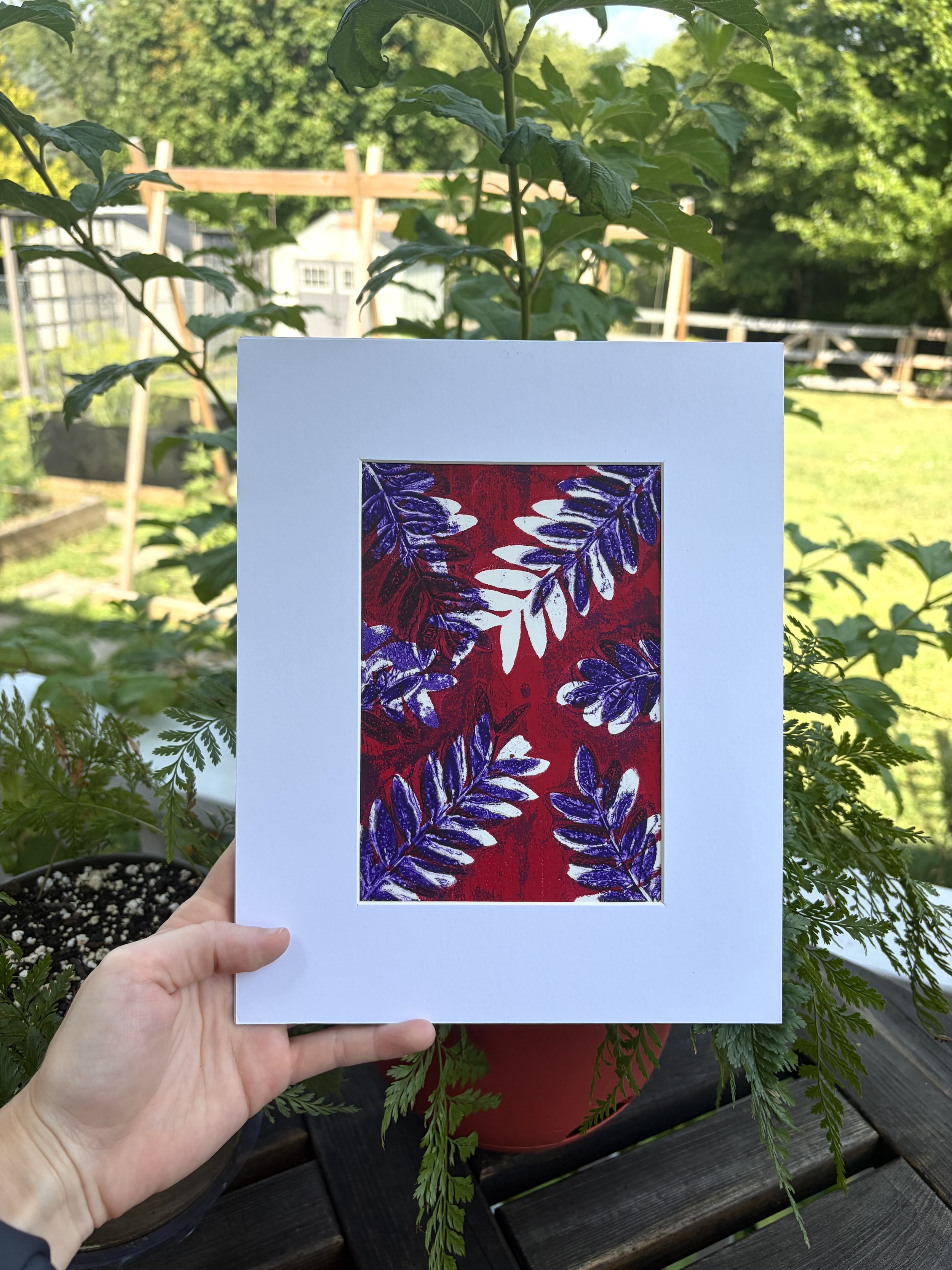 Black Locust Leaves Framed Print- Red