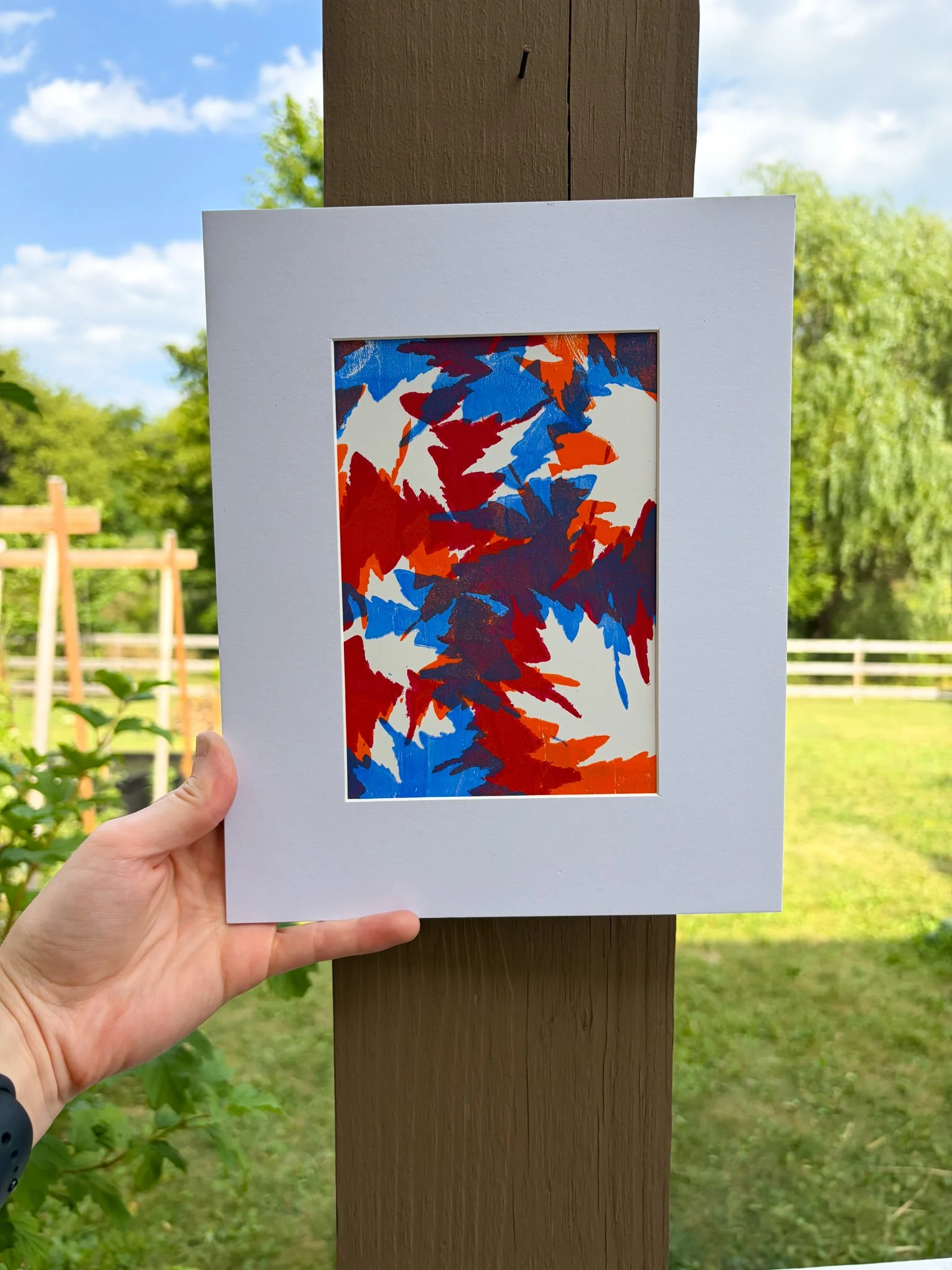 Silver Maple Silhouette Framed Print