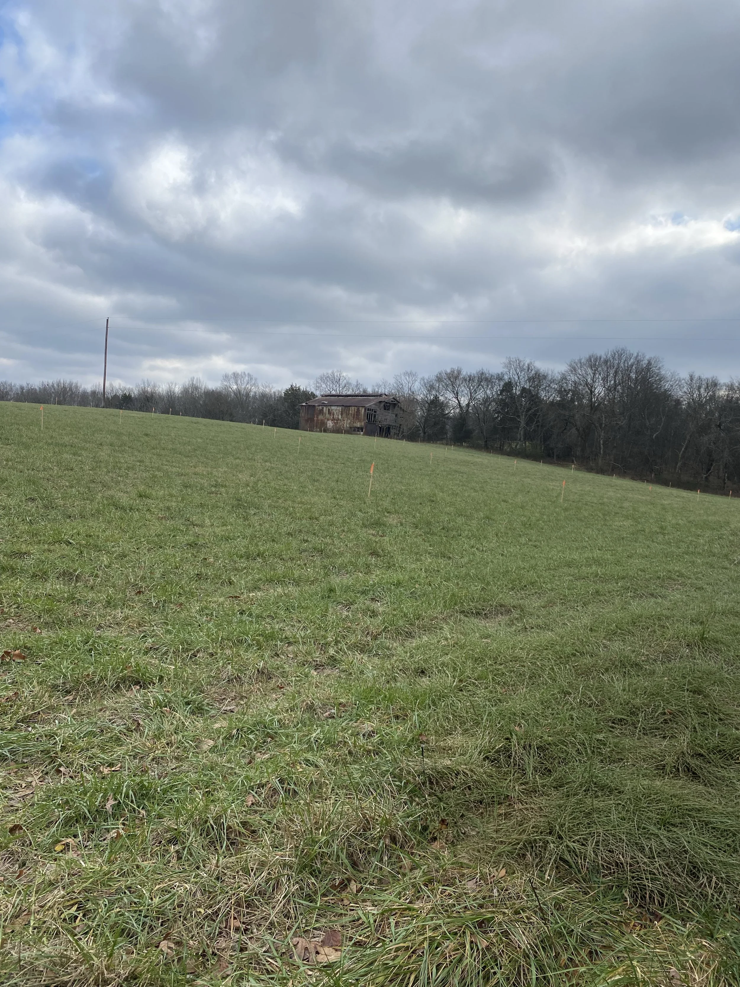 An open grassy field with an old wooden barn in the background under a cloudy sky.