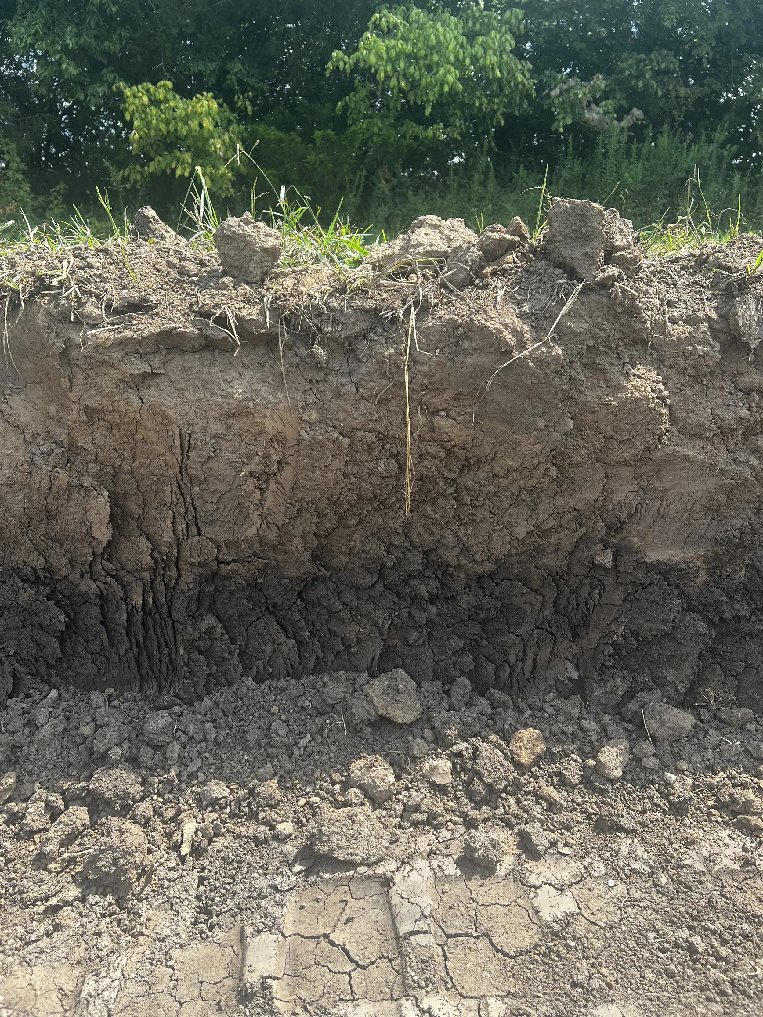 Soil profile that was observed for PERC testing and SEPTIC PERMITTING
