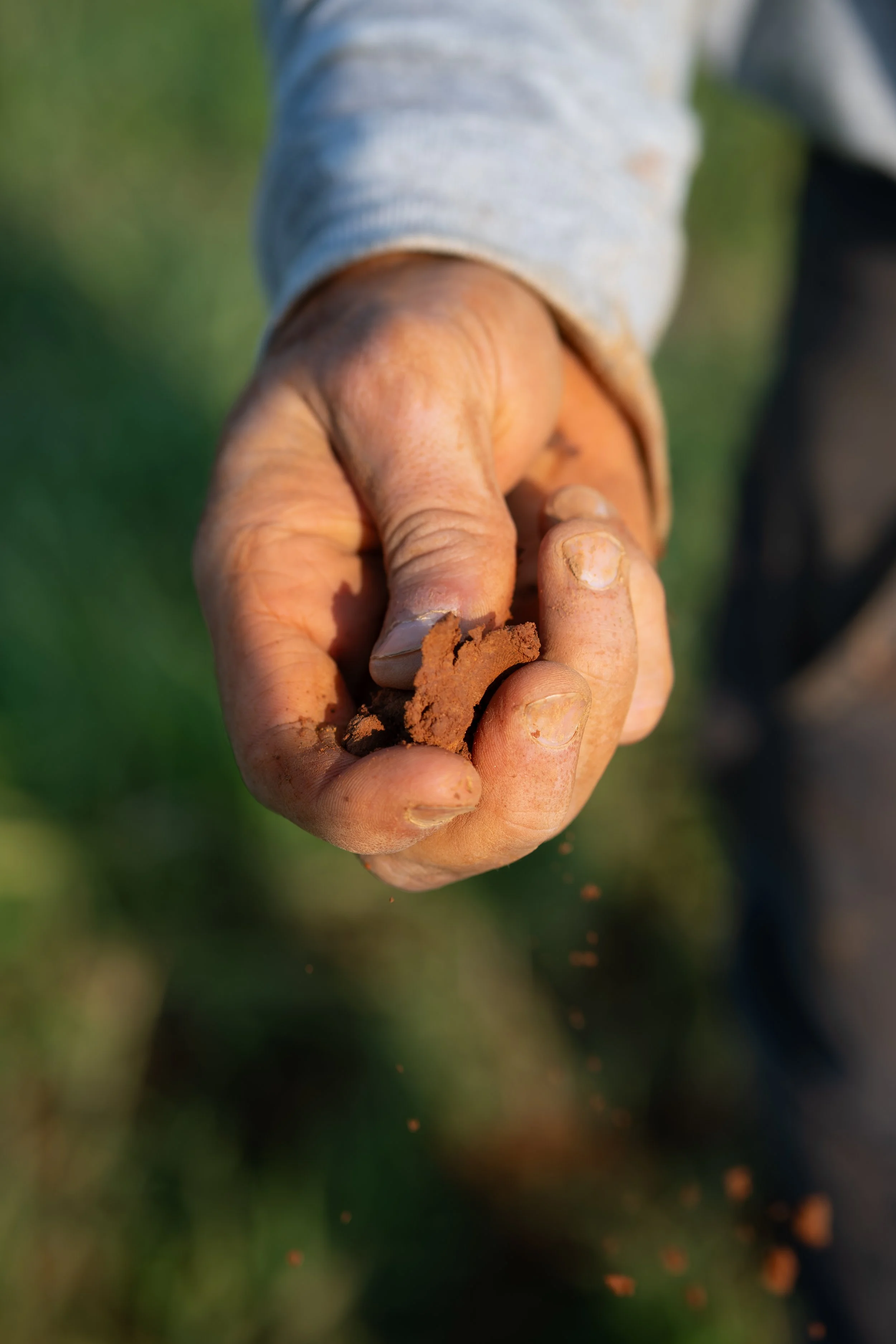 Soil Ribbon Test