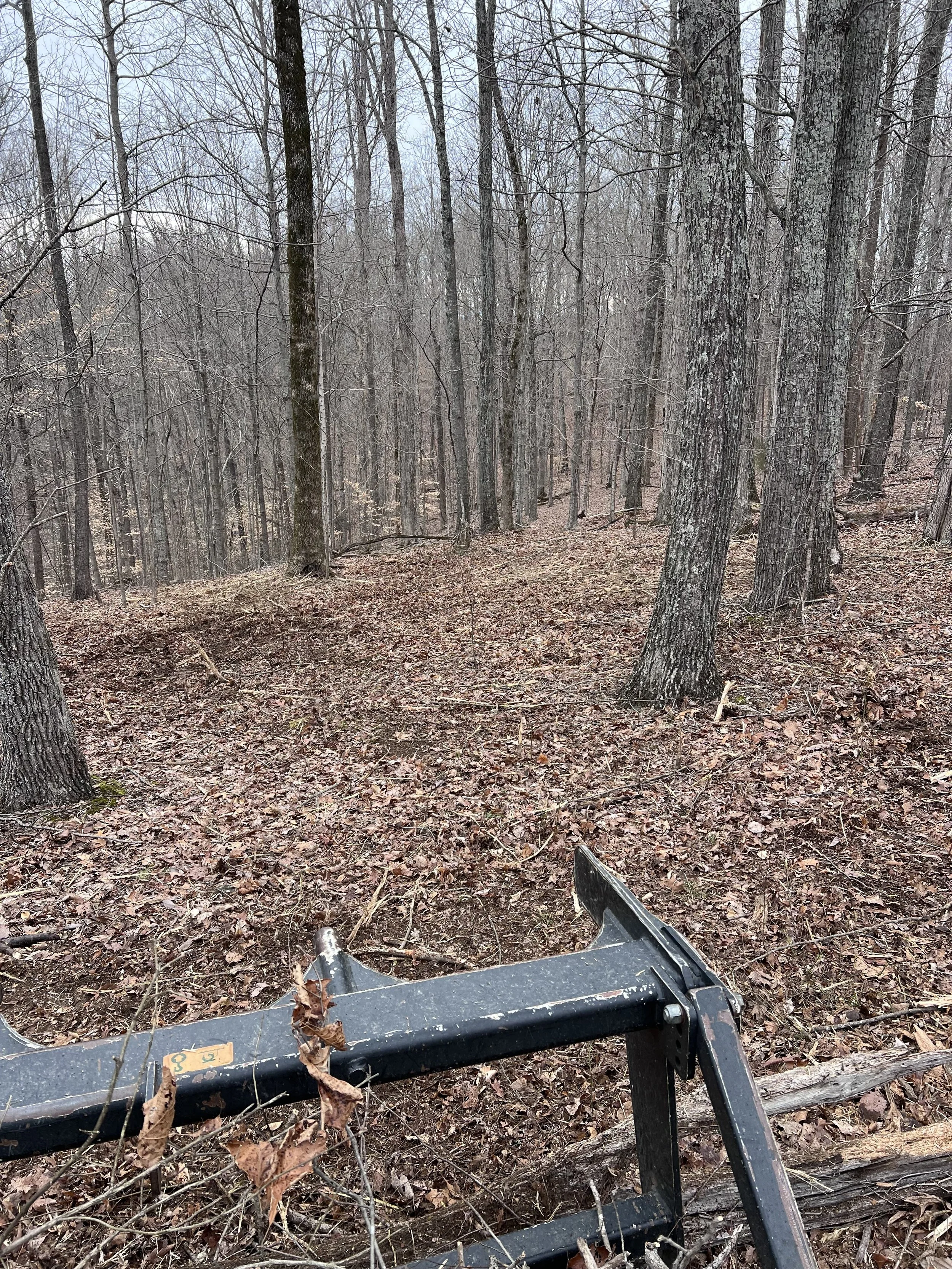 Forested area with leafless trees and ground covered in fallen leaves, with some tree trunks covered in moss, and the front part of a black piece of equipment, possibly a blade or part of machinery.