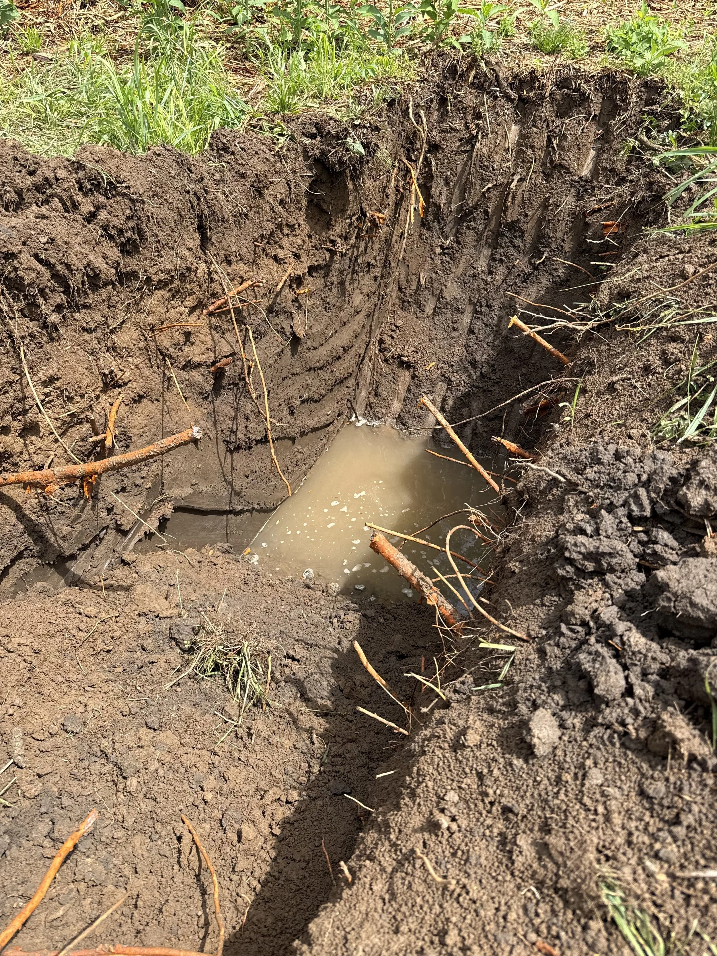 Water table 