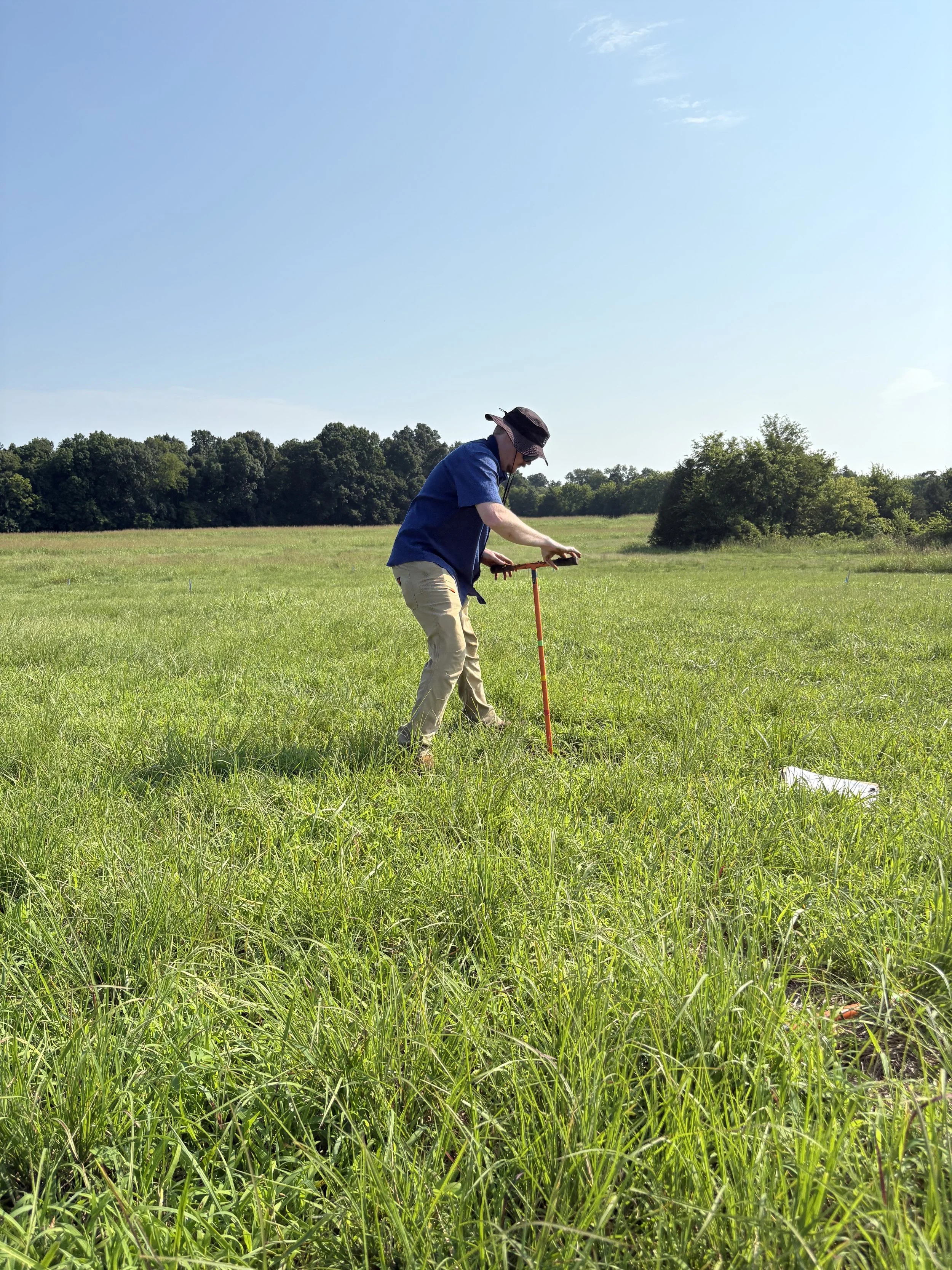 A person wearing a wide-brimmed hat, blue shirt, and khaki pants is using a metal detector in a grassy field on a sunny day with clear skies. There are trees in the background.