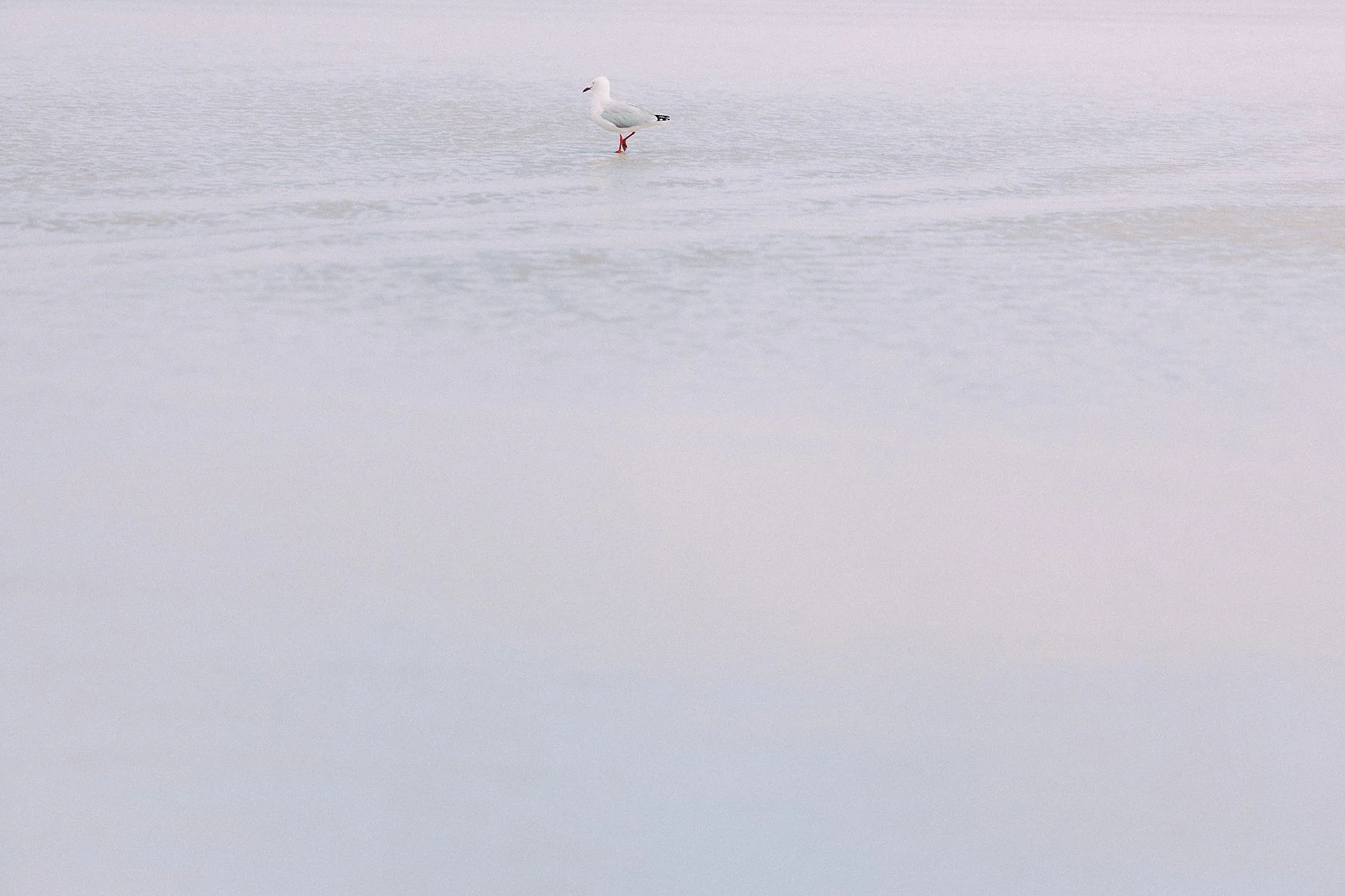WEB HORIZONTAL_26.jpg