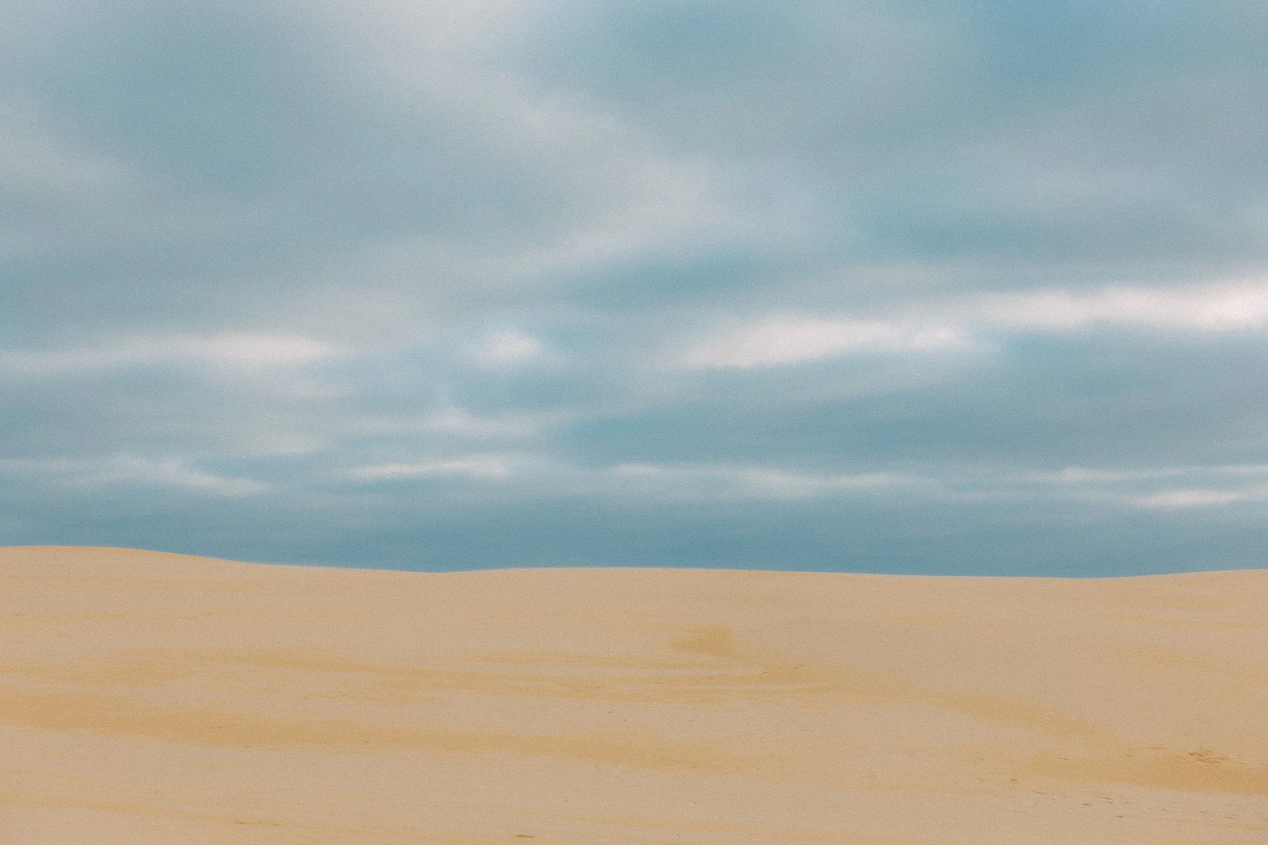 WEB HORIZONTAL_49.jpg