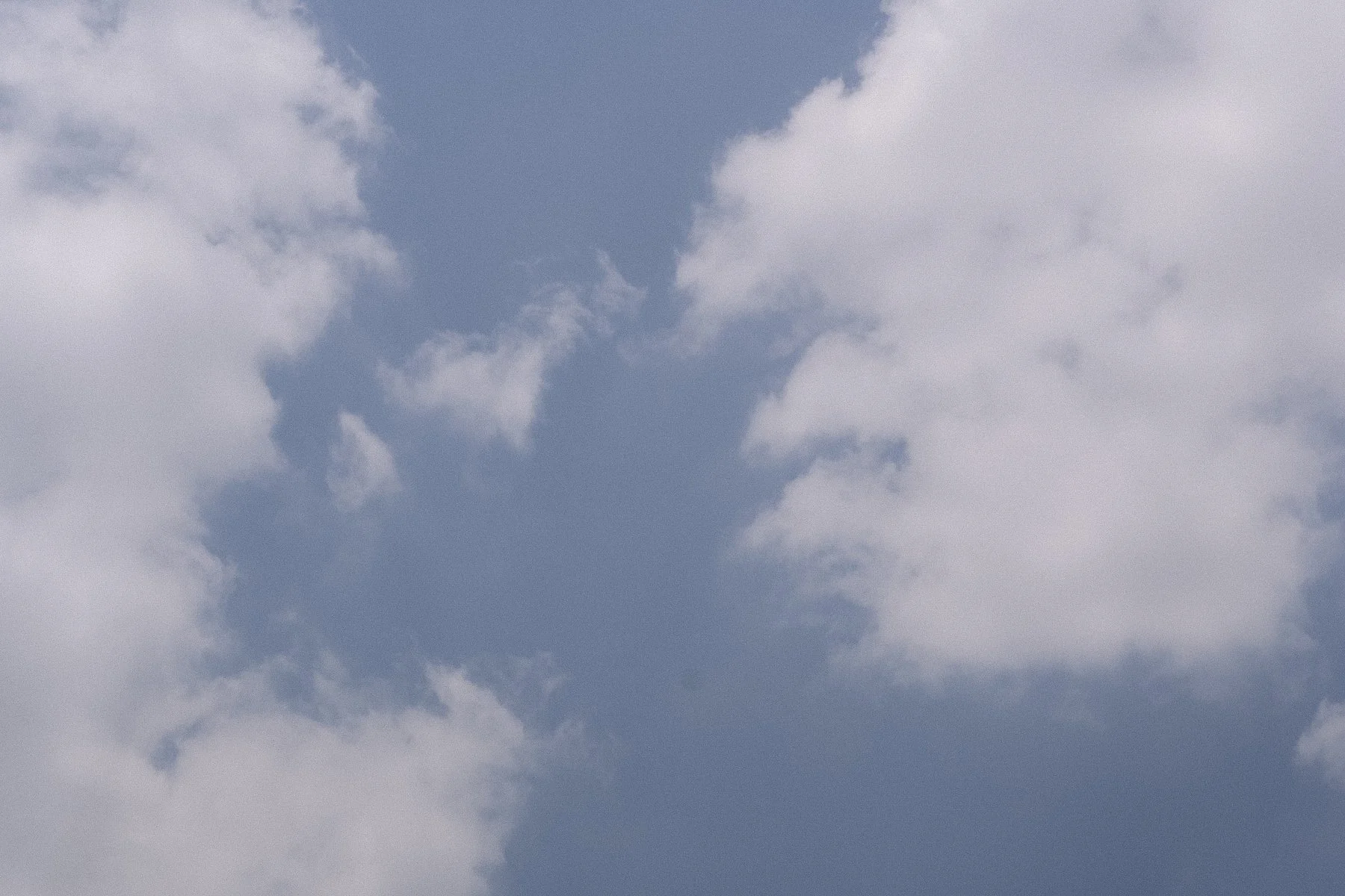 WEB HORIZONTAL_16.jpg