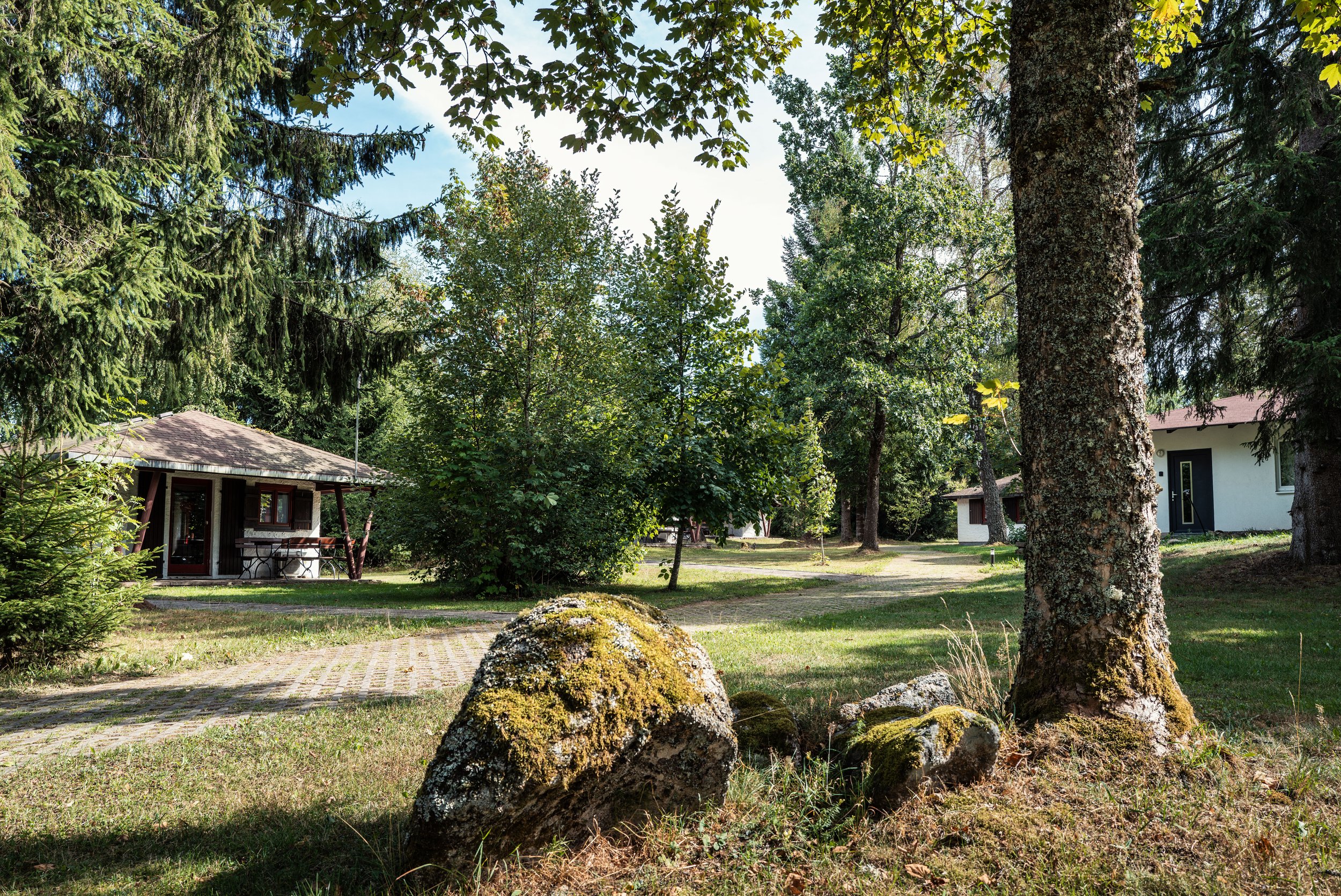 L1010624-Bearbeitet.jpg